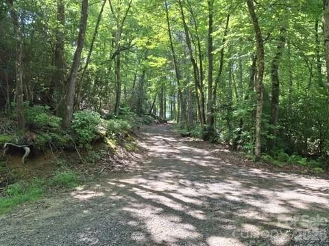 630 Shumont Road - Photo 2