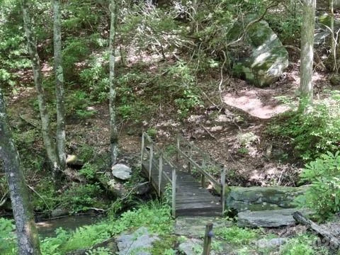 630 Shumont Road - Photo 5
