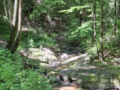 630 Shumont Road - Photo 6
