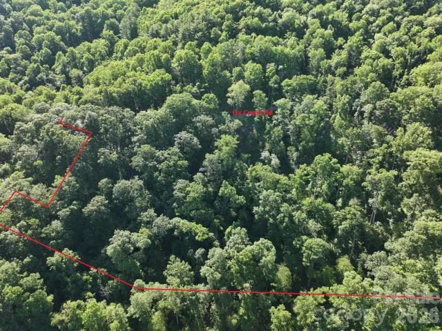 TBD Ox Creek Road, Weaverville, NC, 28787