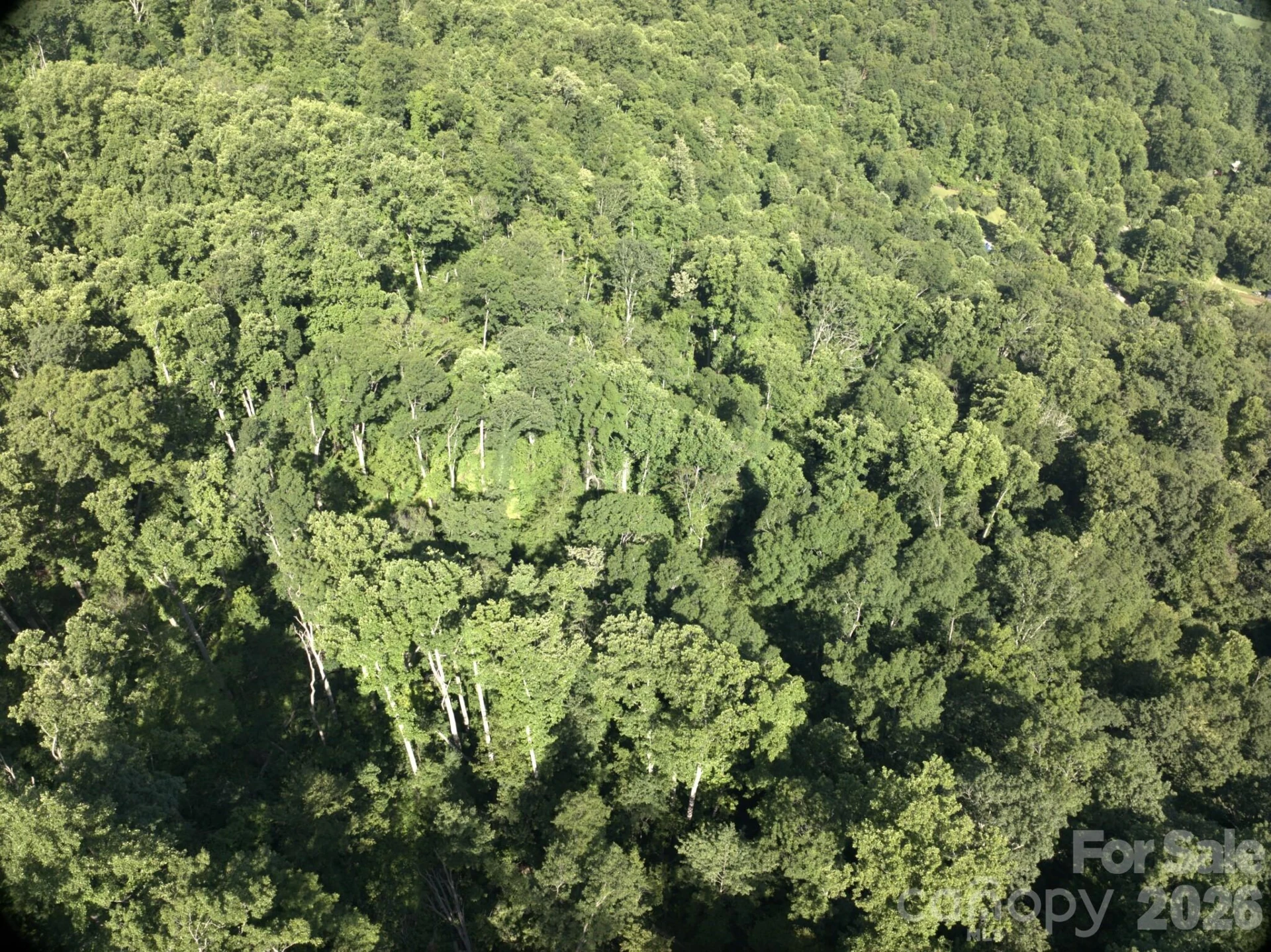 TBD Ox Creek Road - Photo 2