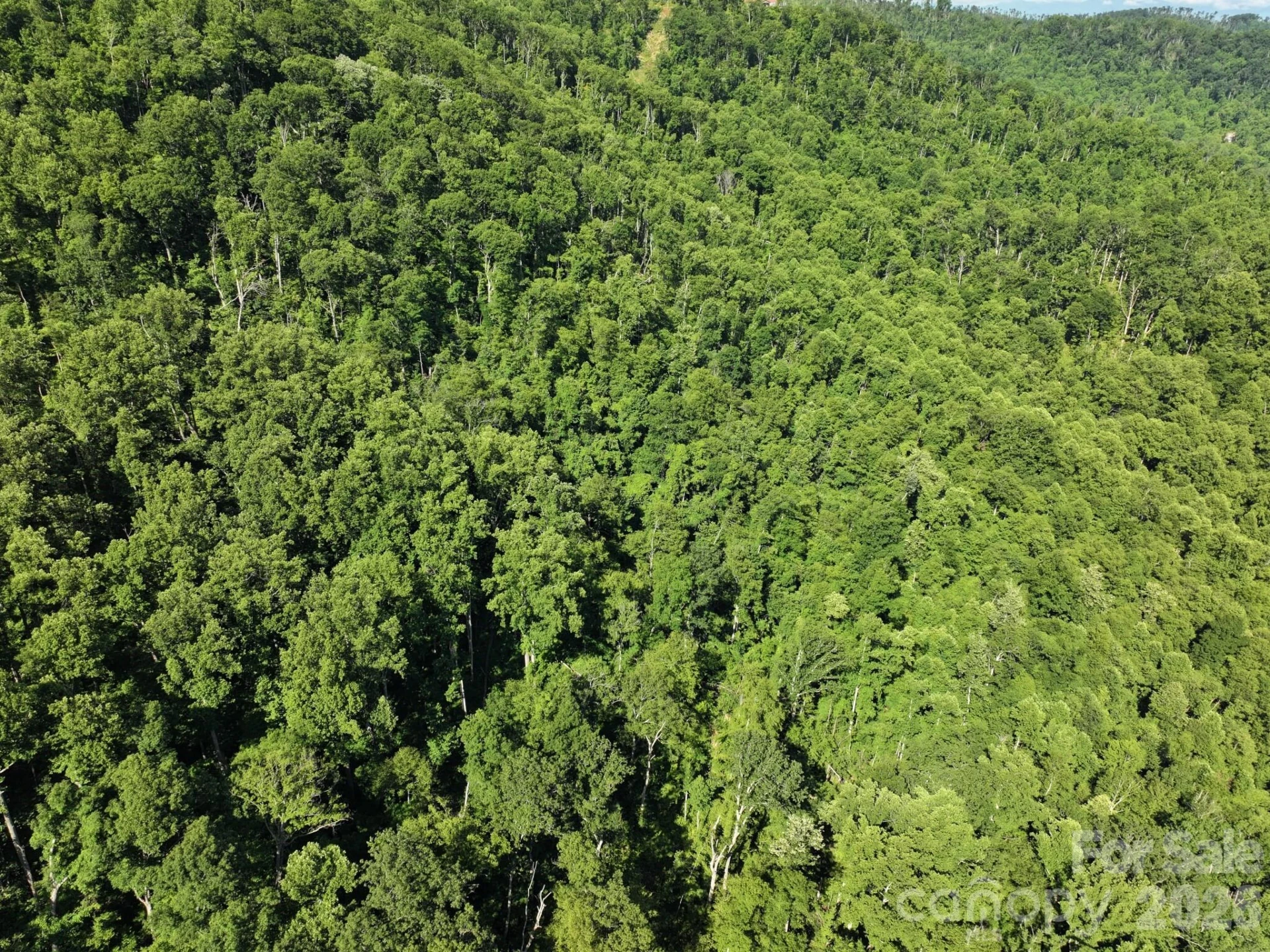 TBD Ox Creek Road - Photo 11
