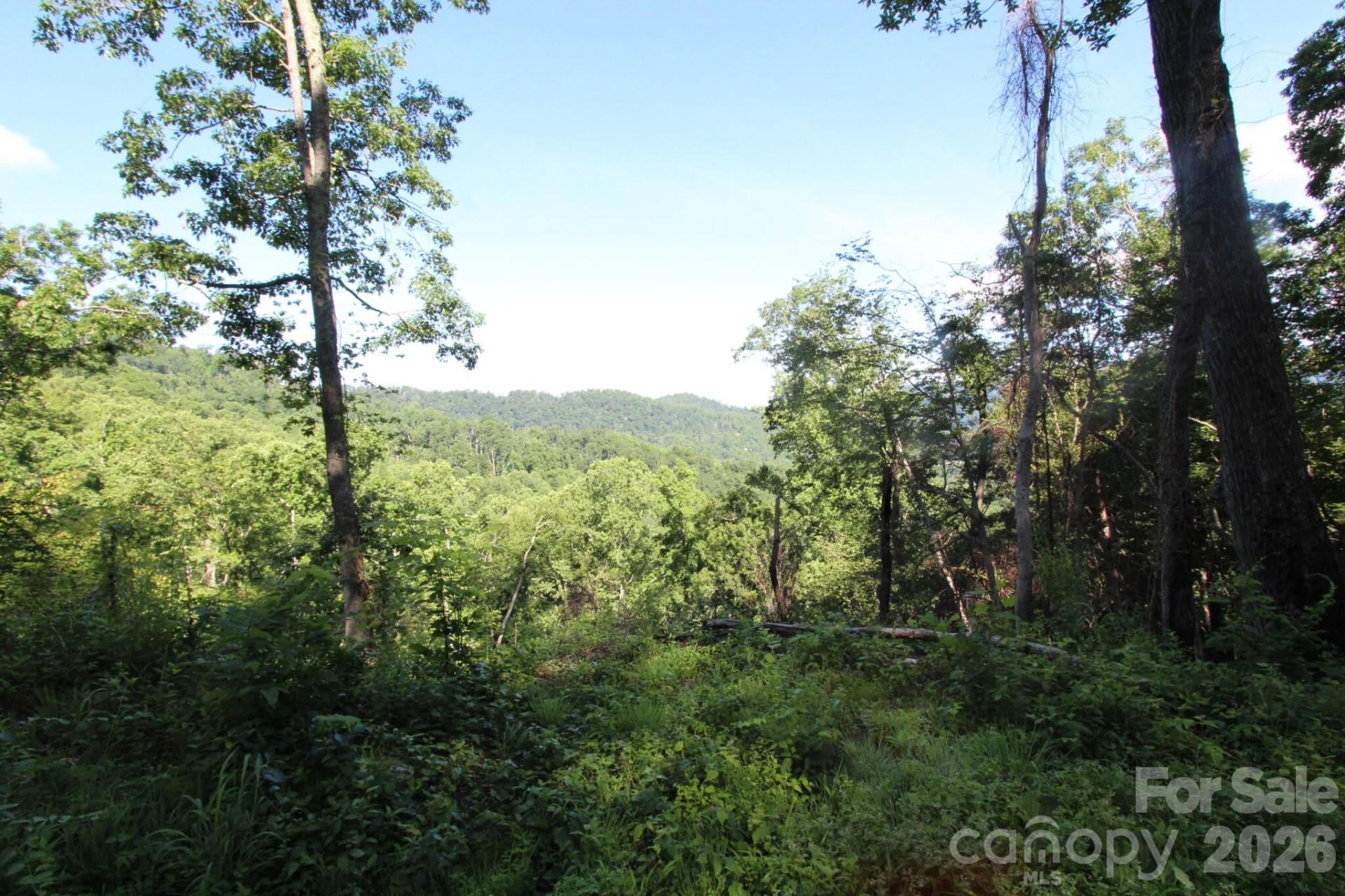 TBD Ox Creek Road - Photo 12