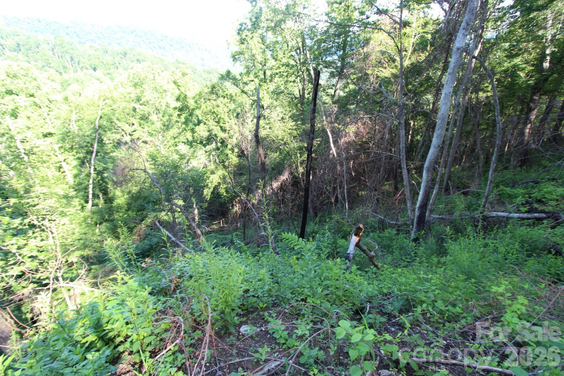 TBD Ox Creek Road - Photo 13