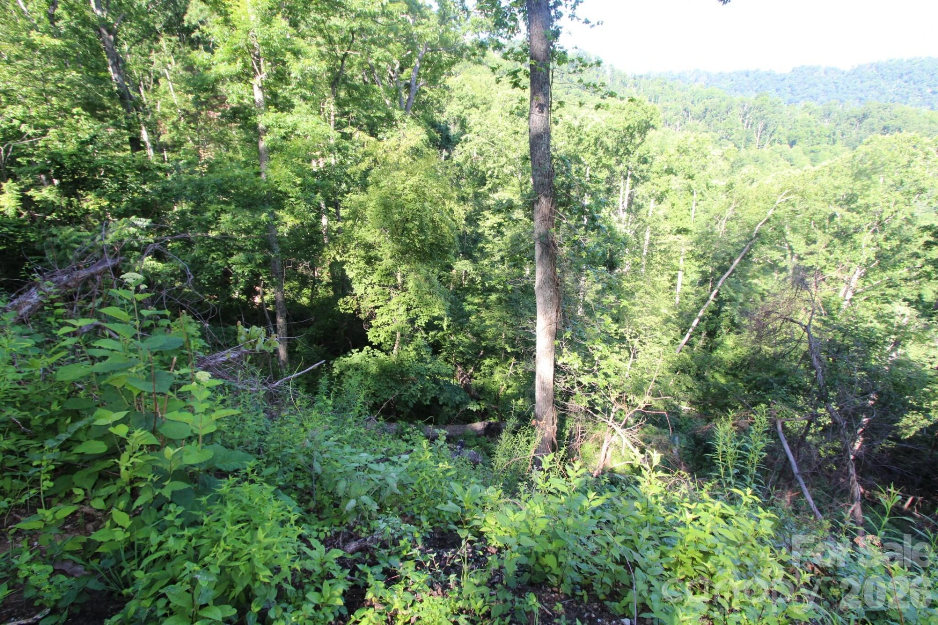 TBD Ox Creek Road - Photo 14