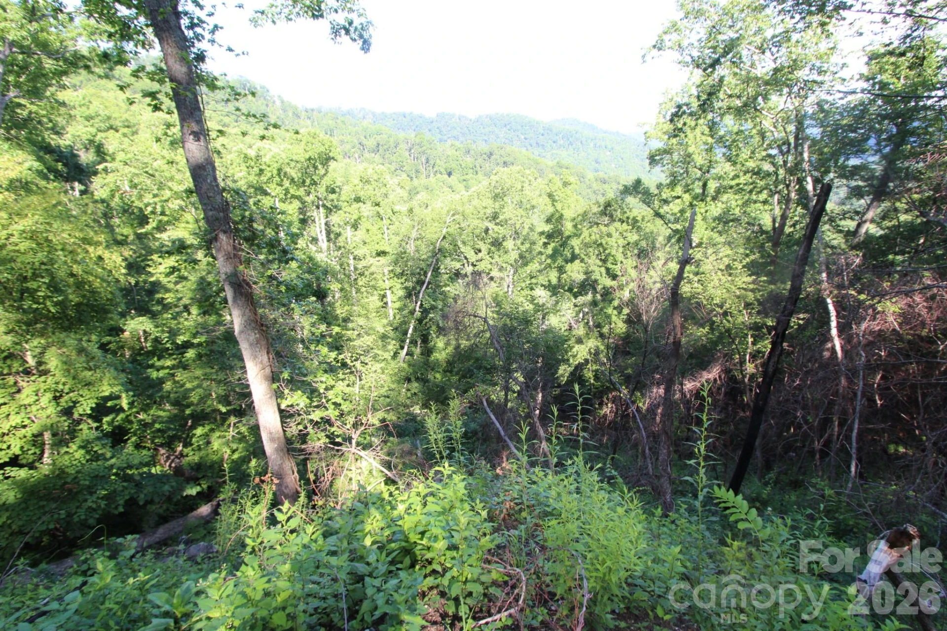 TBD Ox Creek Road - Photo 15