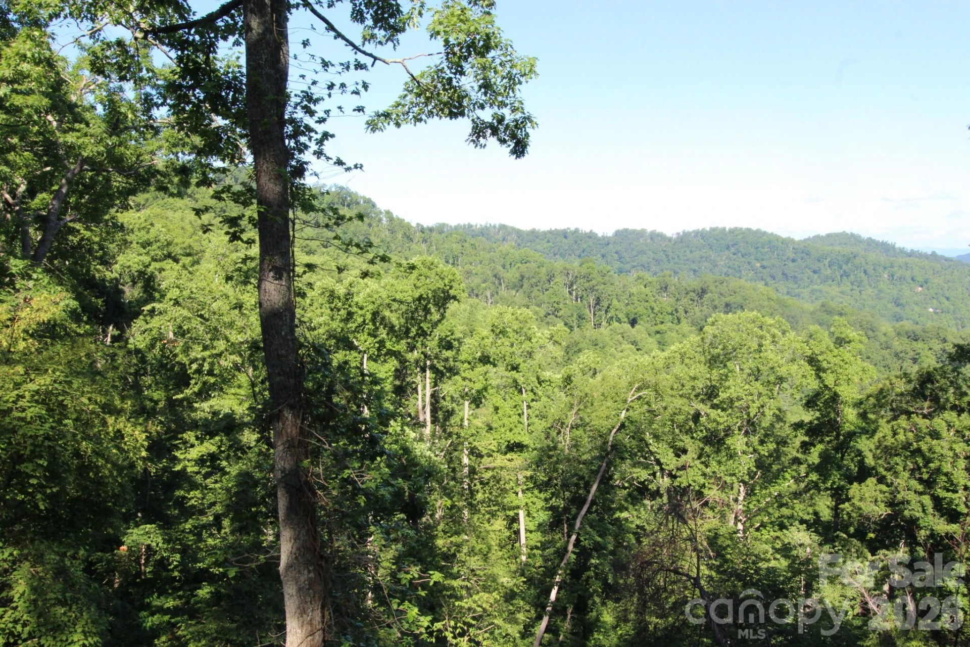TBD Ox Creek Road - Photo 16