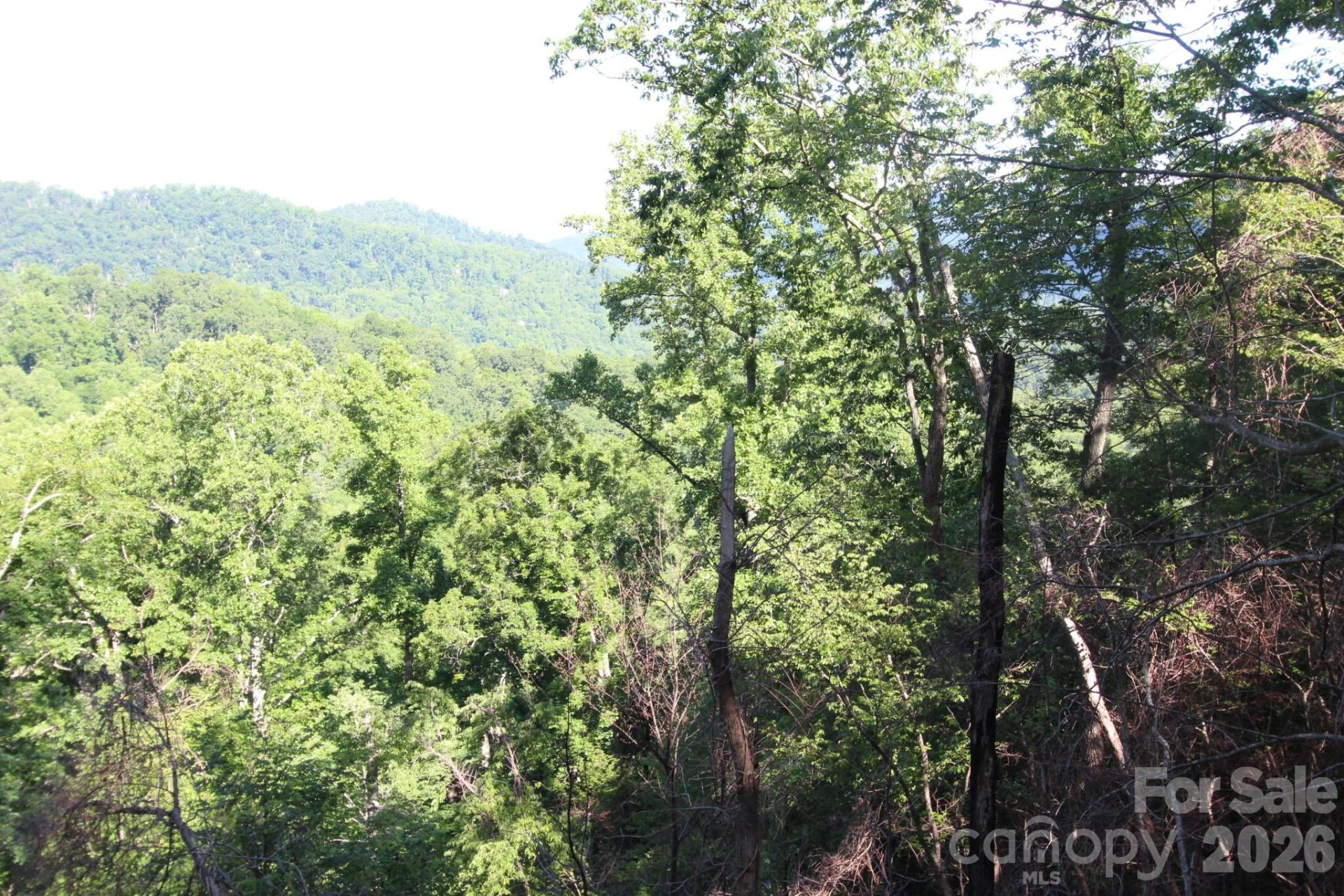 TBD Ox Creek Road - Photo 17