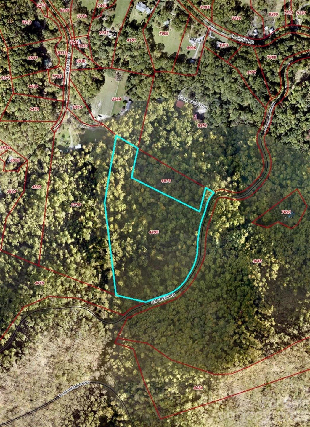 TBD Ox Creek Road - Photo 18
