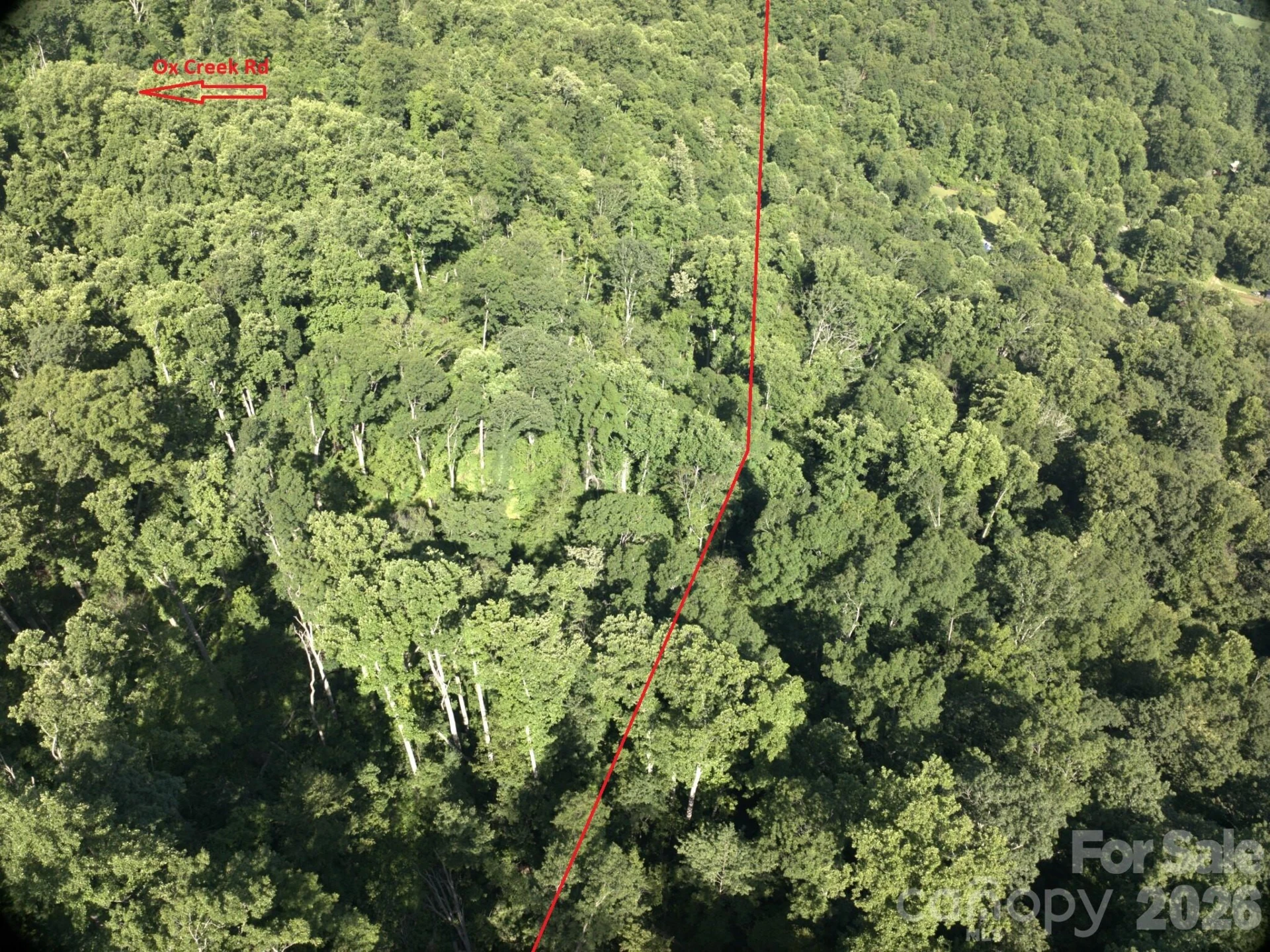 TBD Ox Creek Road - Photo 3