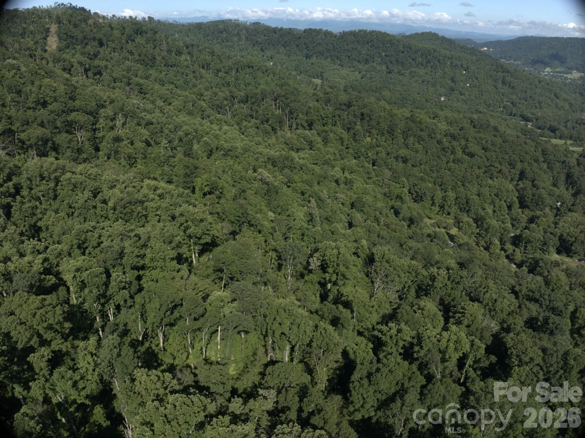 TBD Ox Creek Road - Photo 4