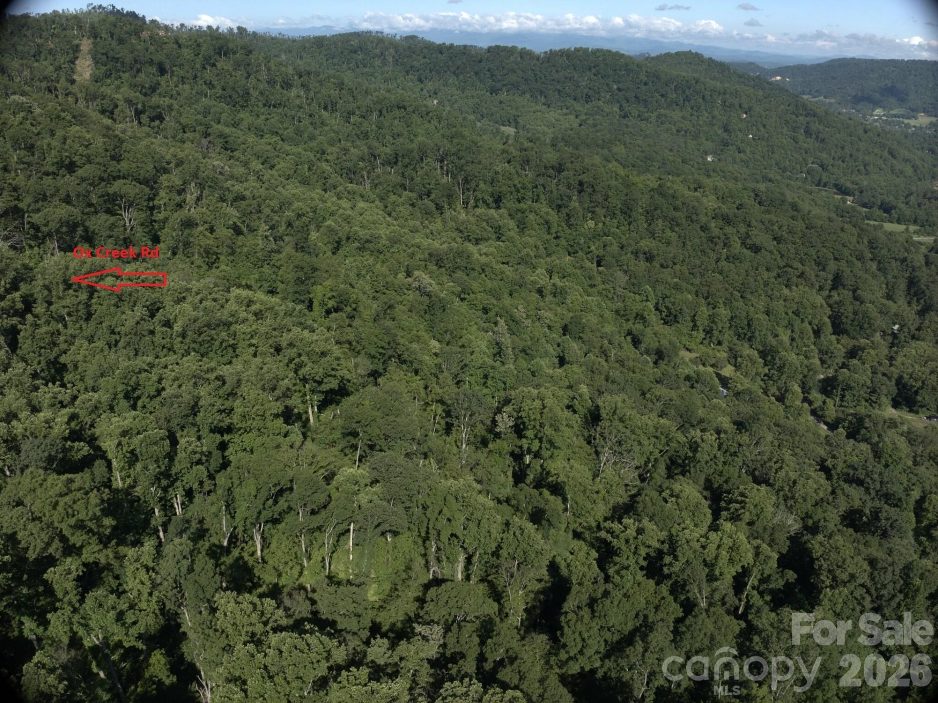 TBD Ox Creek Road - Photo 5