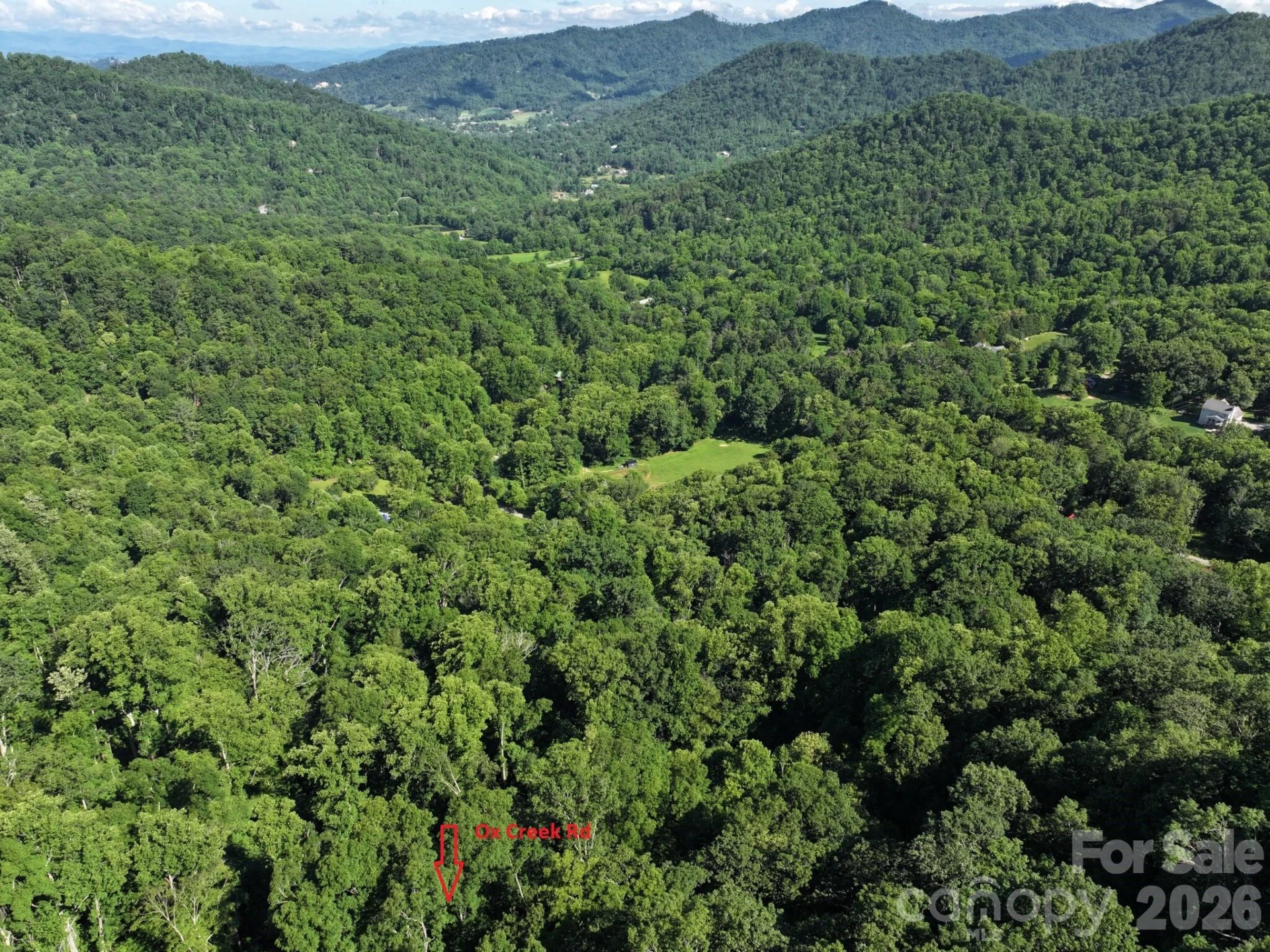 TBD Ox Creek Road - Photo 6