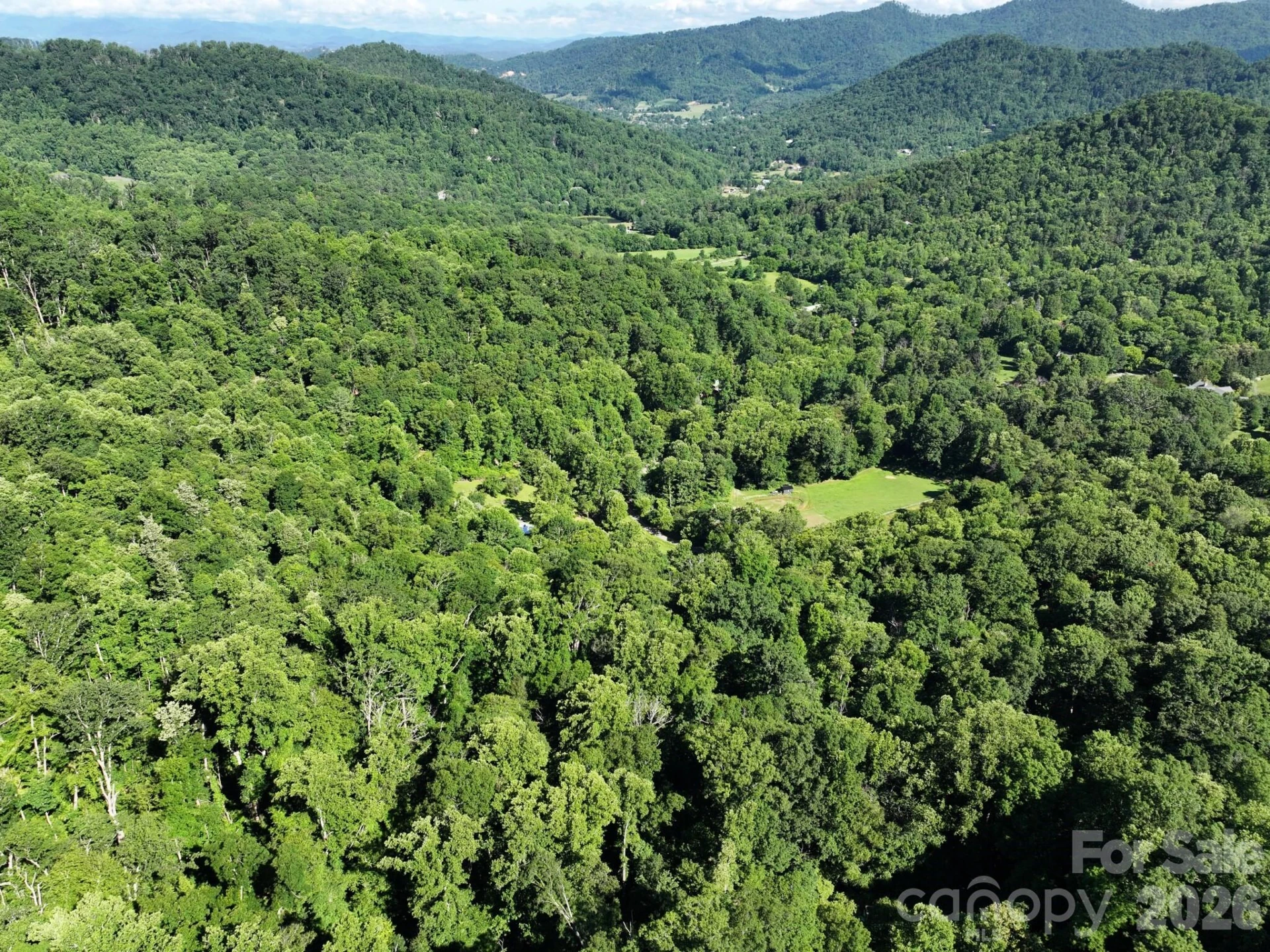 TBD Ox Creek Road - Photo 9