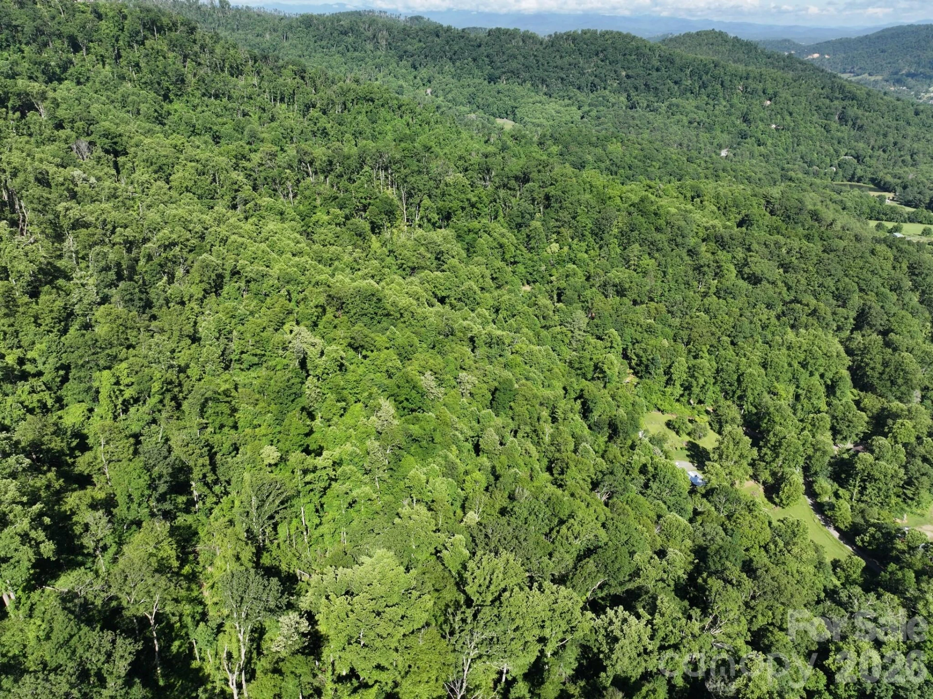 TBD Ox Creek Road - Photo 10