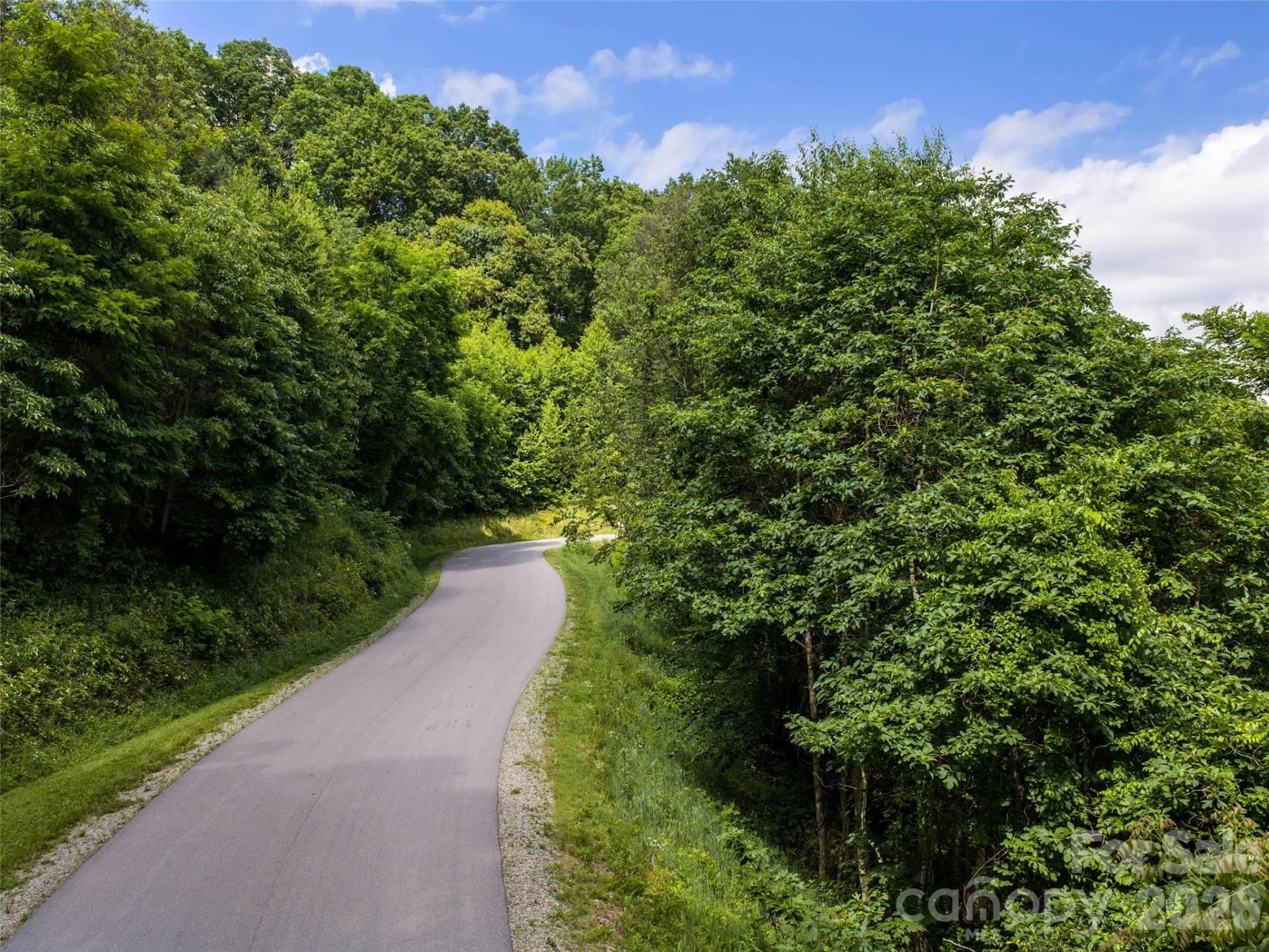 #37 Tapestry Trail - Photo 12