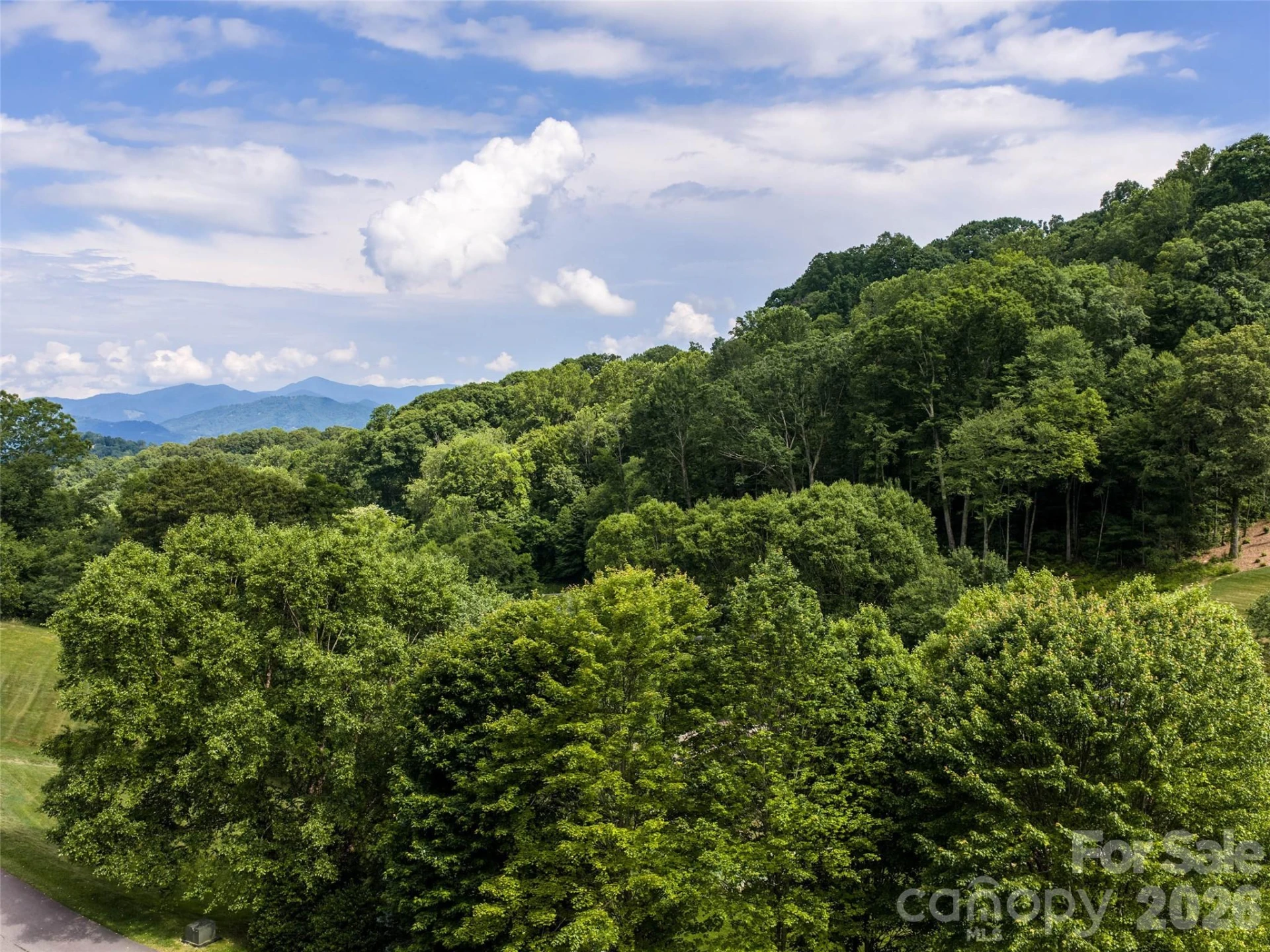 #37 Tapestry Trail - Photo 6