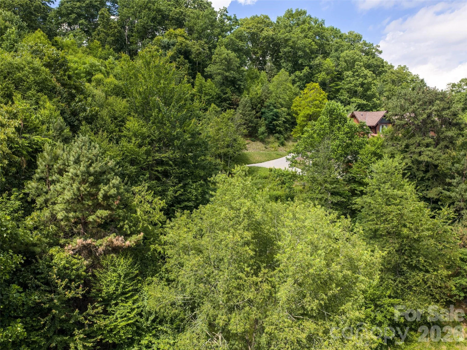 #37 Tapestry Trail - Photo 9