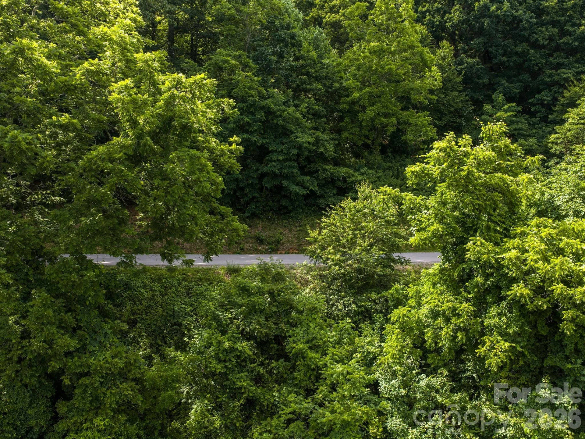 #37 Tapestry Trail - Photo 10