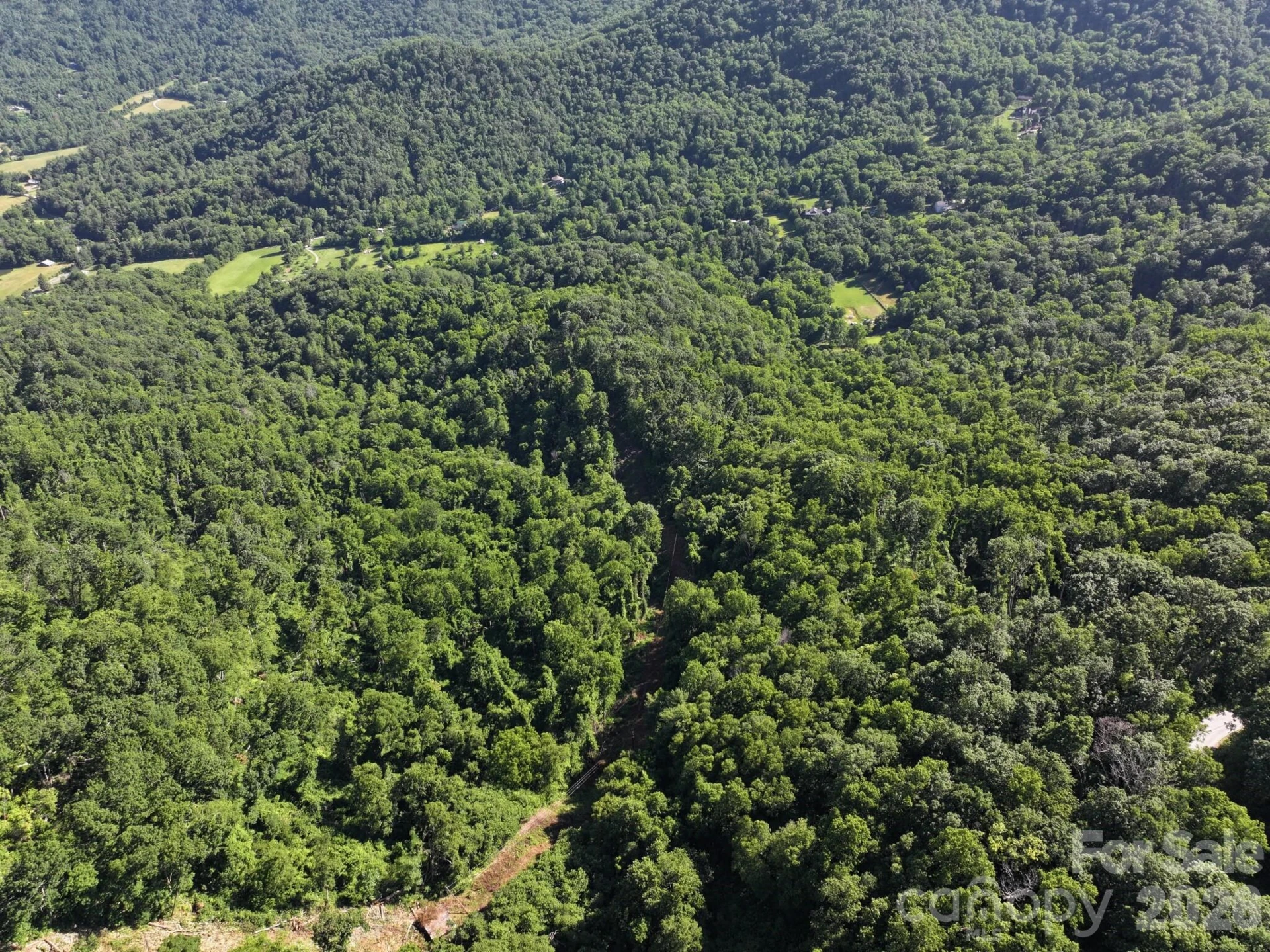 00 Ox Creek Crest Lane - Photo 11