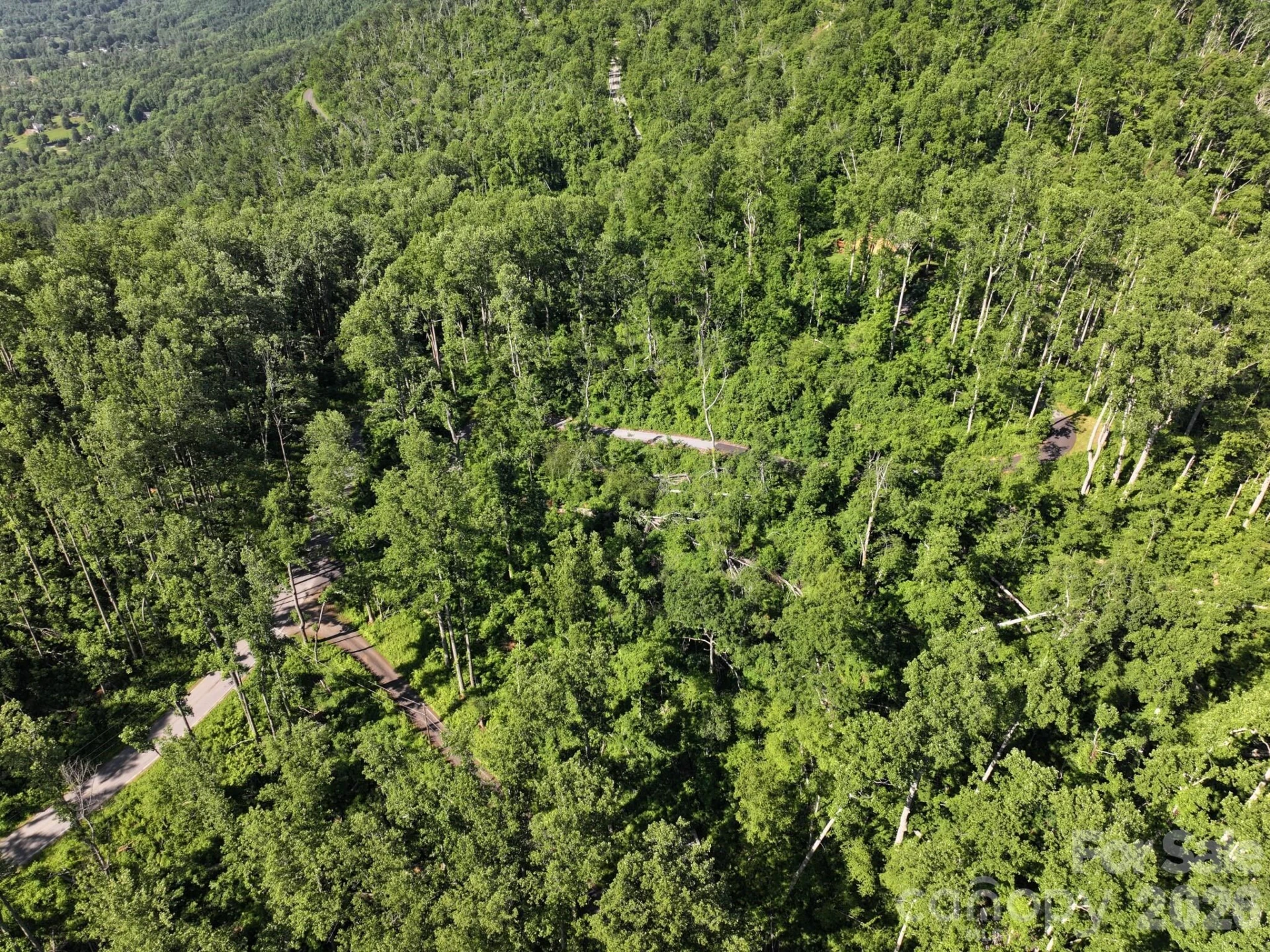 00 Ox Creek Crest Lane - Photo 12