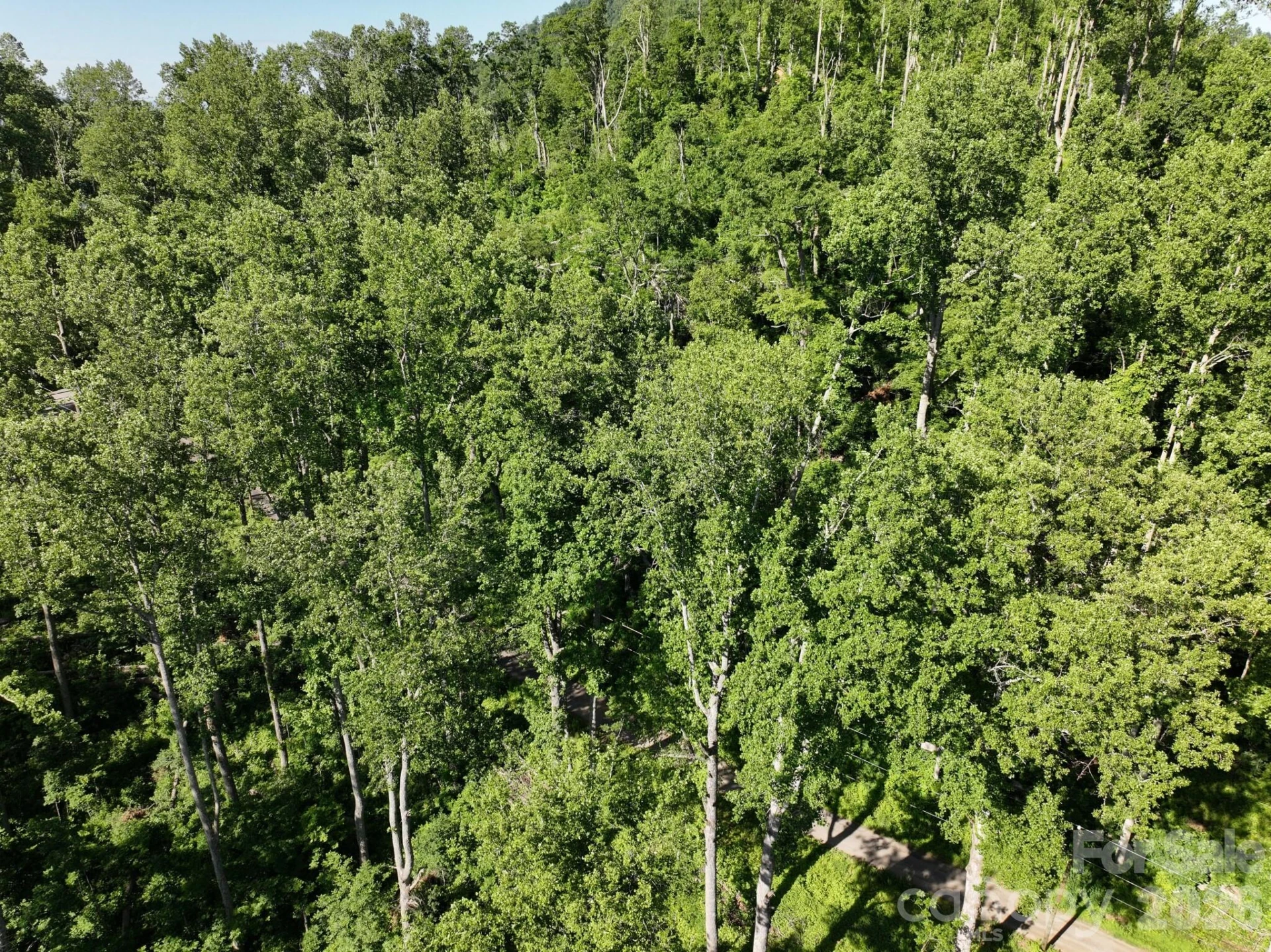 00 Ox Creek Crest Lane - Photo 16