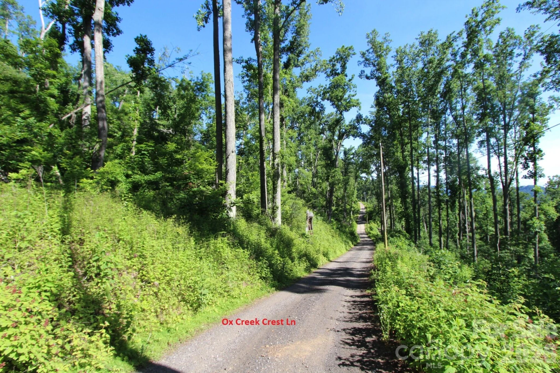 00 Ox Creek Crest Lane - Photo 17