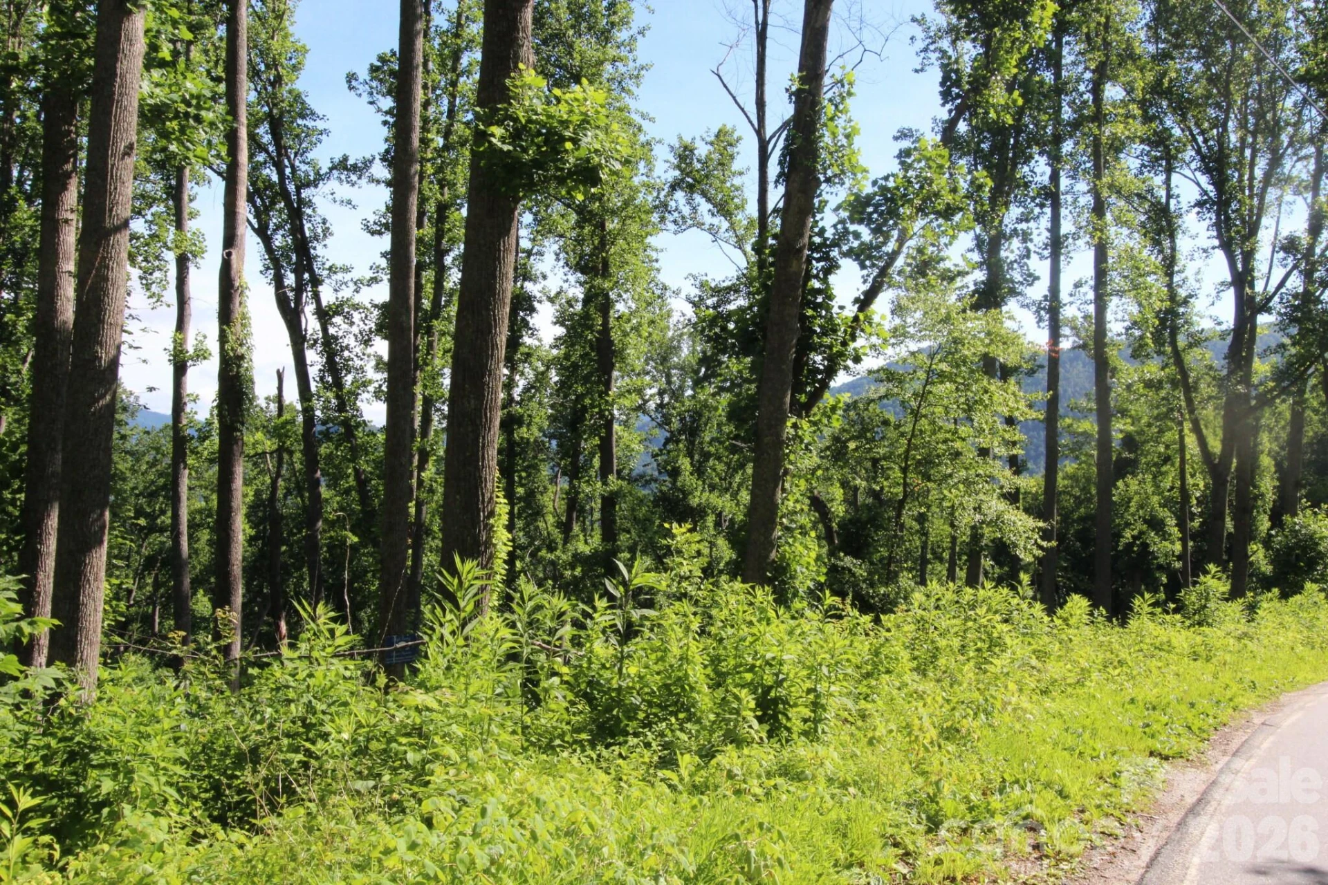 00 Ox Creek Crest Lane - Photo 18