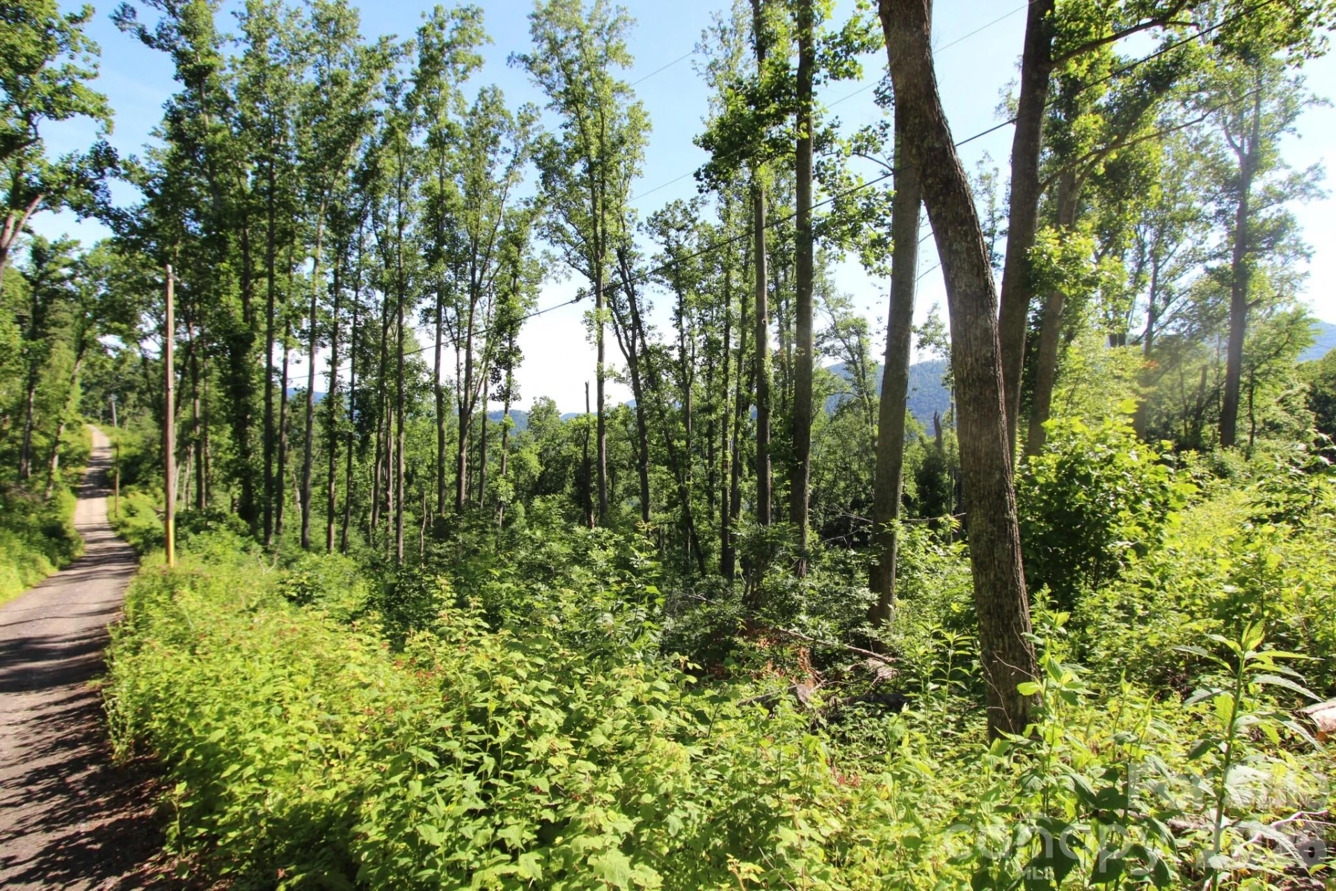 00 Ox Creek Crest Lane - Photo 19
