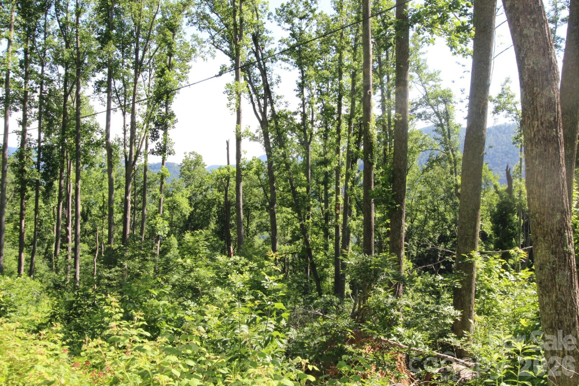 00 Ox Creek Crest Lane - Photo 20