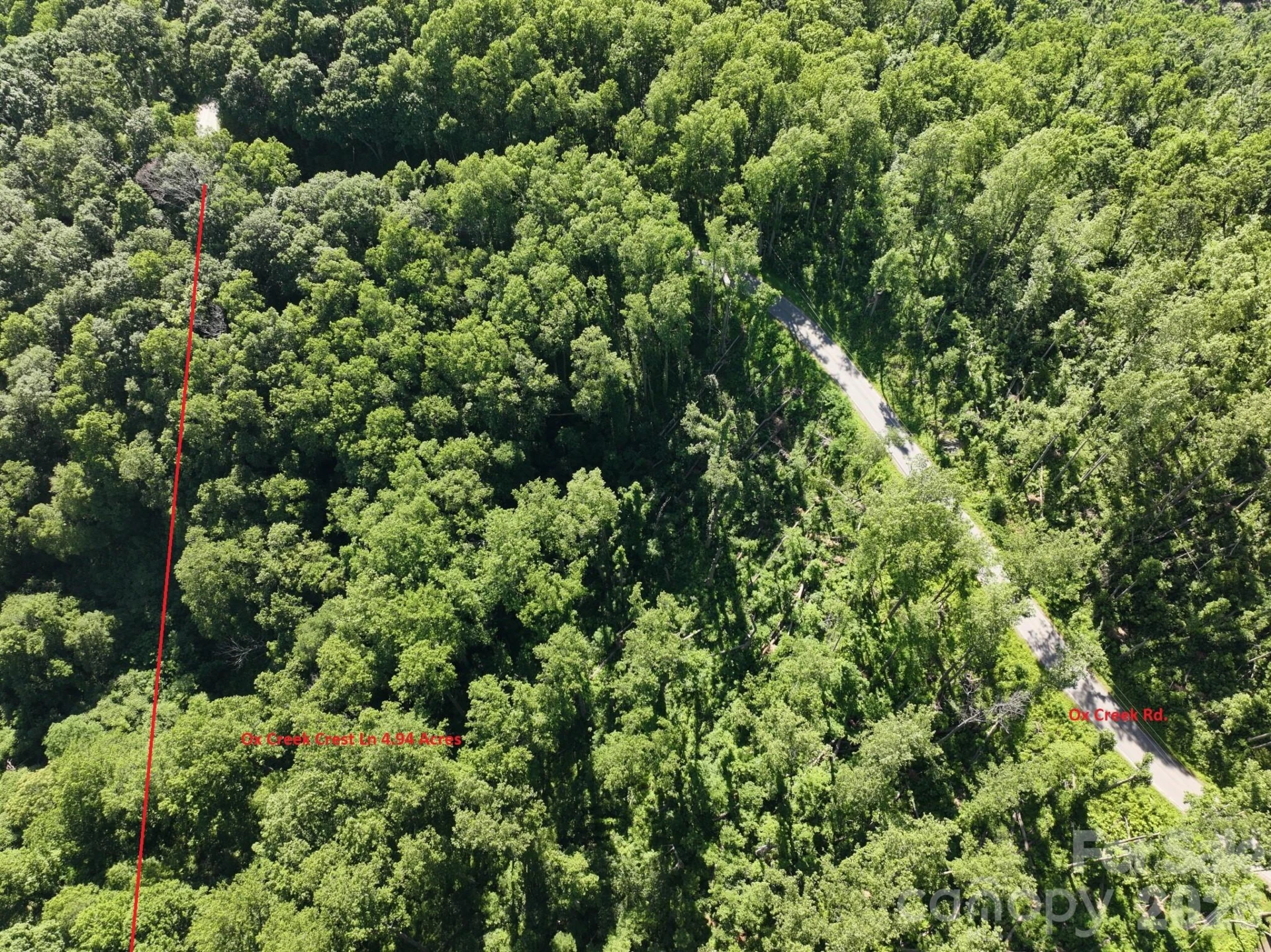 00 Ox Creek Crest Lane - Photo 3