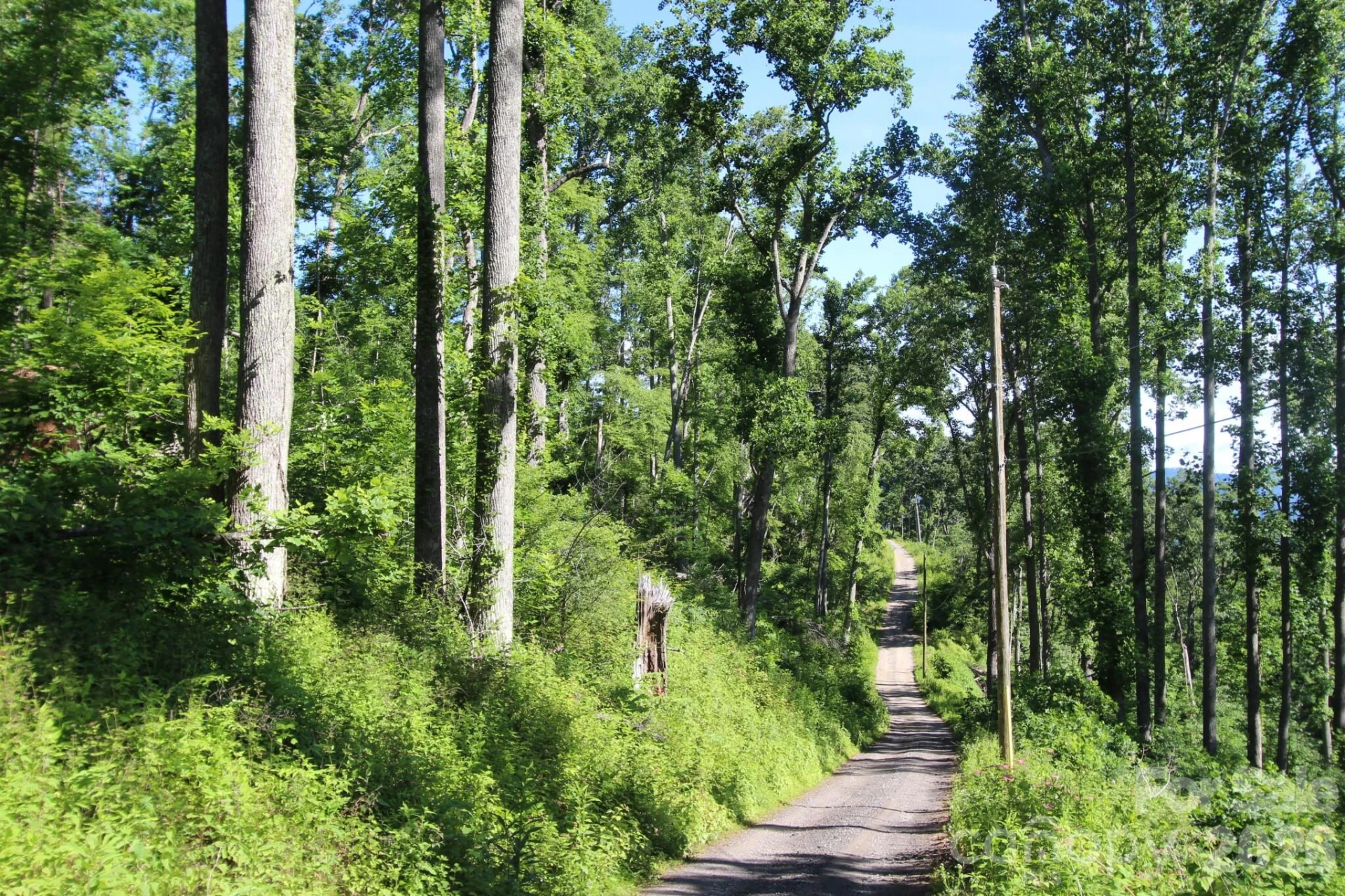 00 Ox Creek Crest Lane - Photo 21