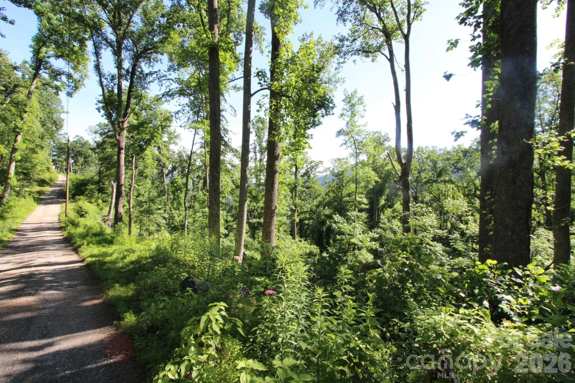 00 Ox Creek Crest Lane - Photo 22