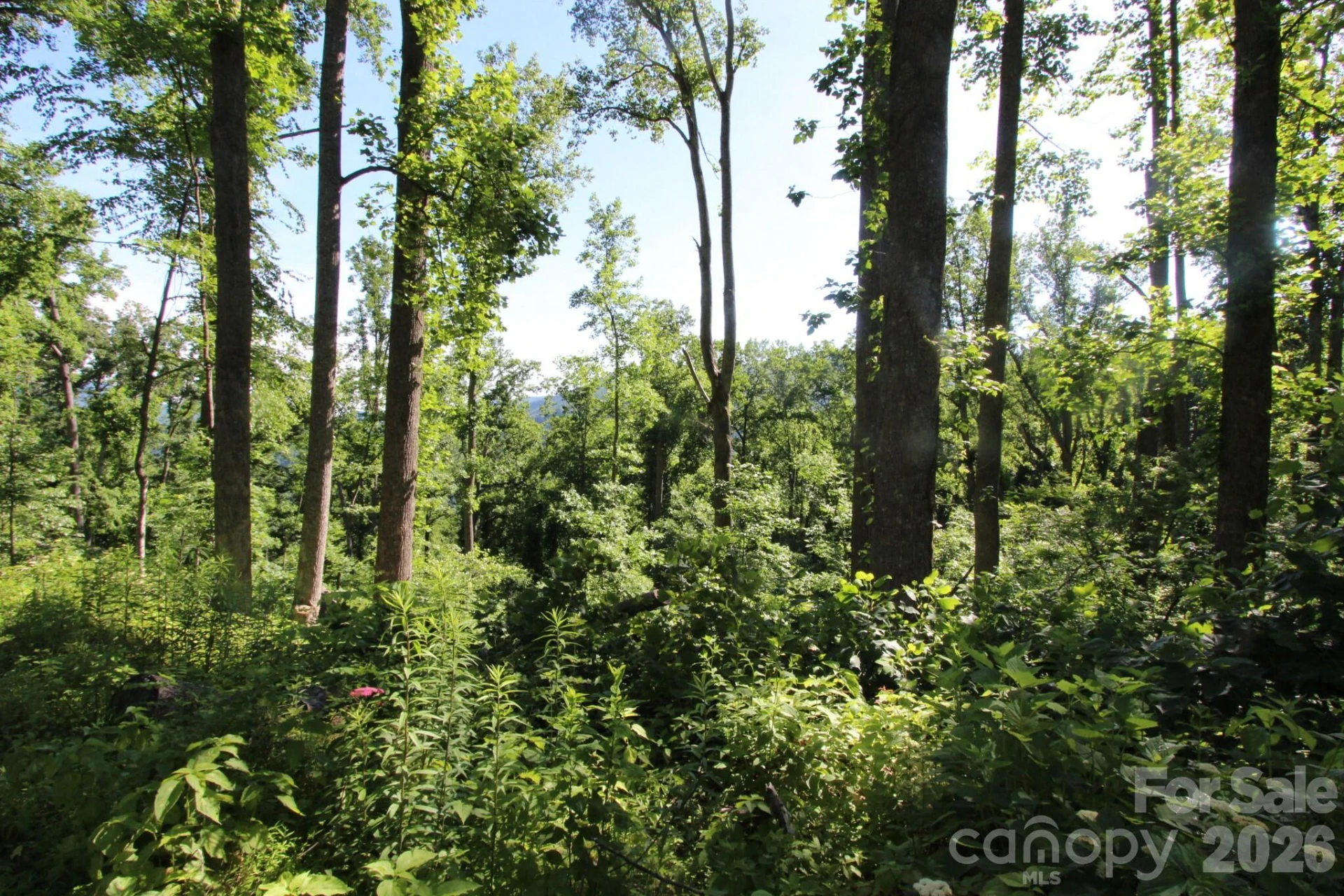 00 Ox Creek Crest Lane - Photo 23