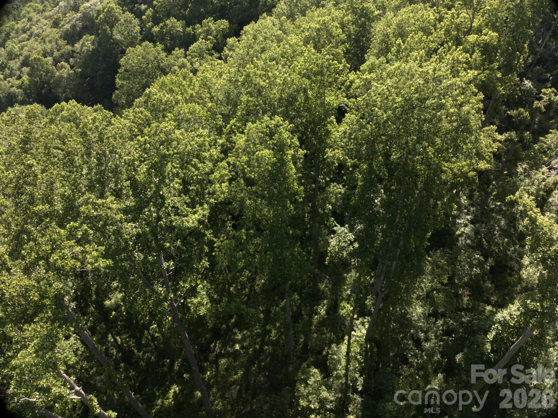 00 Ox Creek Crest Lane - Photo 5