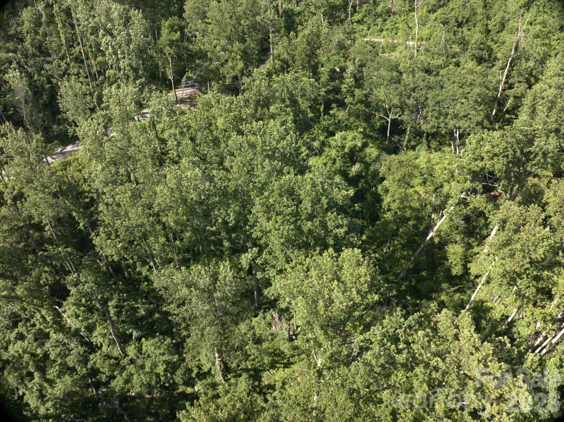 00 Ox Creek Crest Lane - Photo 7