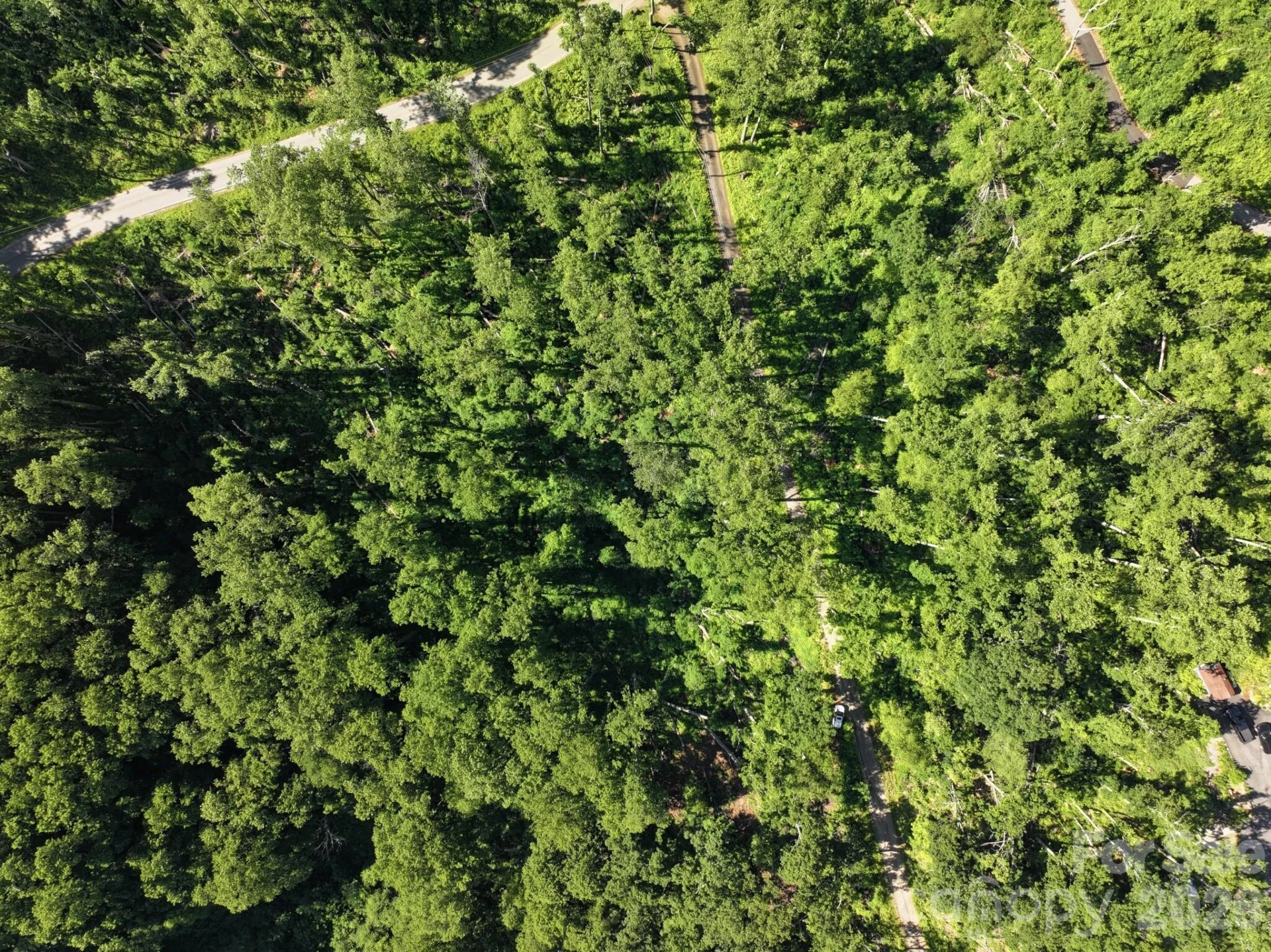 00 Ox Creek Crest Lane - Photo 8