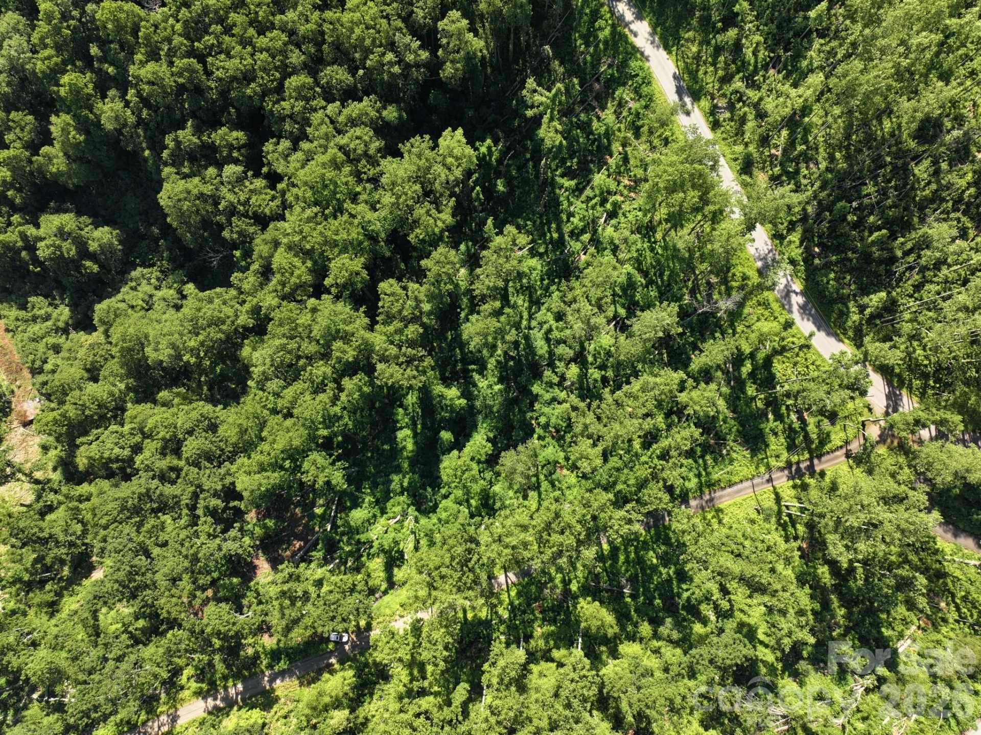 00 Ox Creek Crest Lane - Photo 9