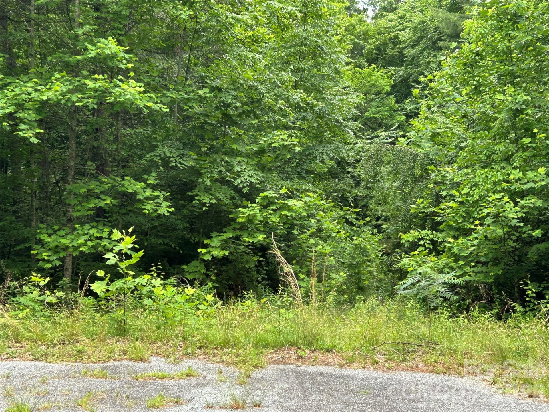 0 Silverstone Drive #16 & 17 - Photo 2