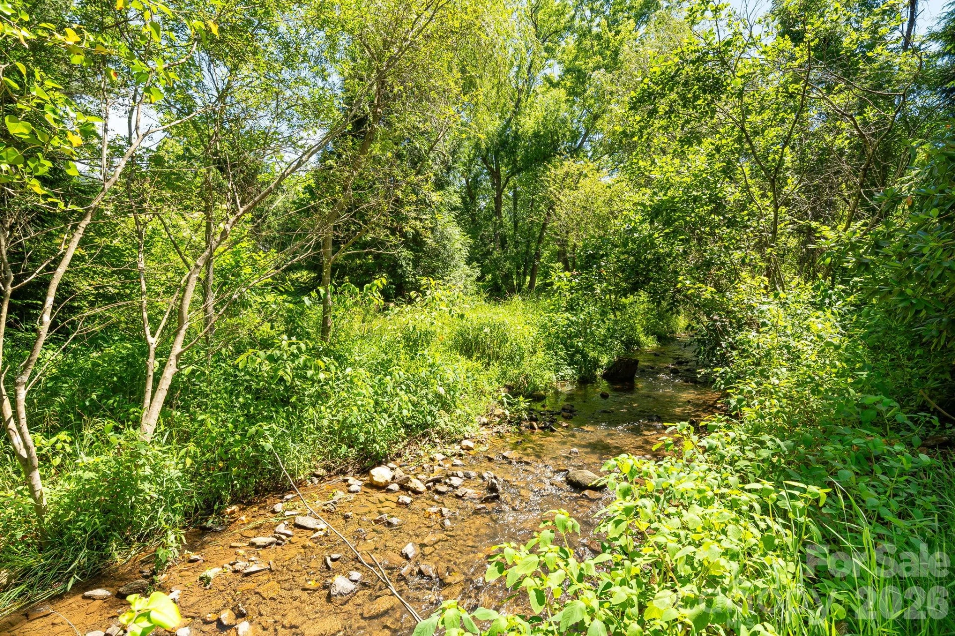 468 Beaverdam Road - Photo 9