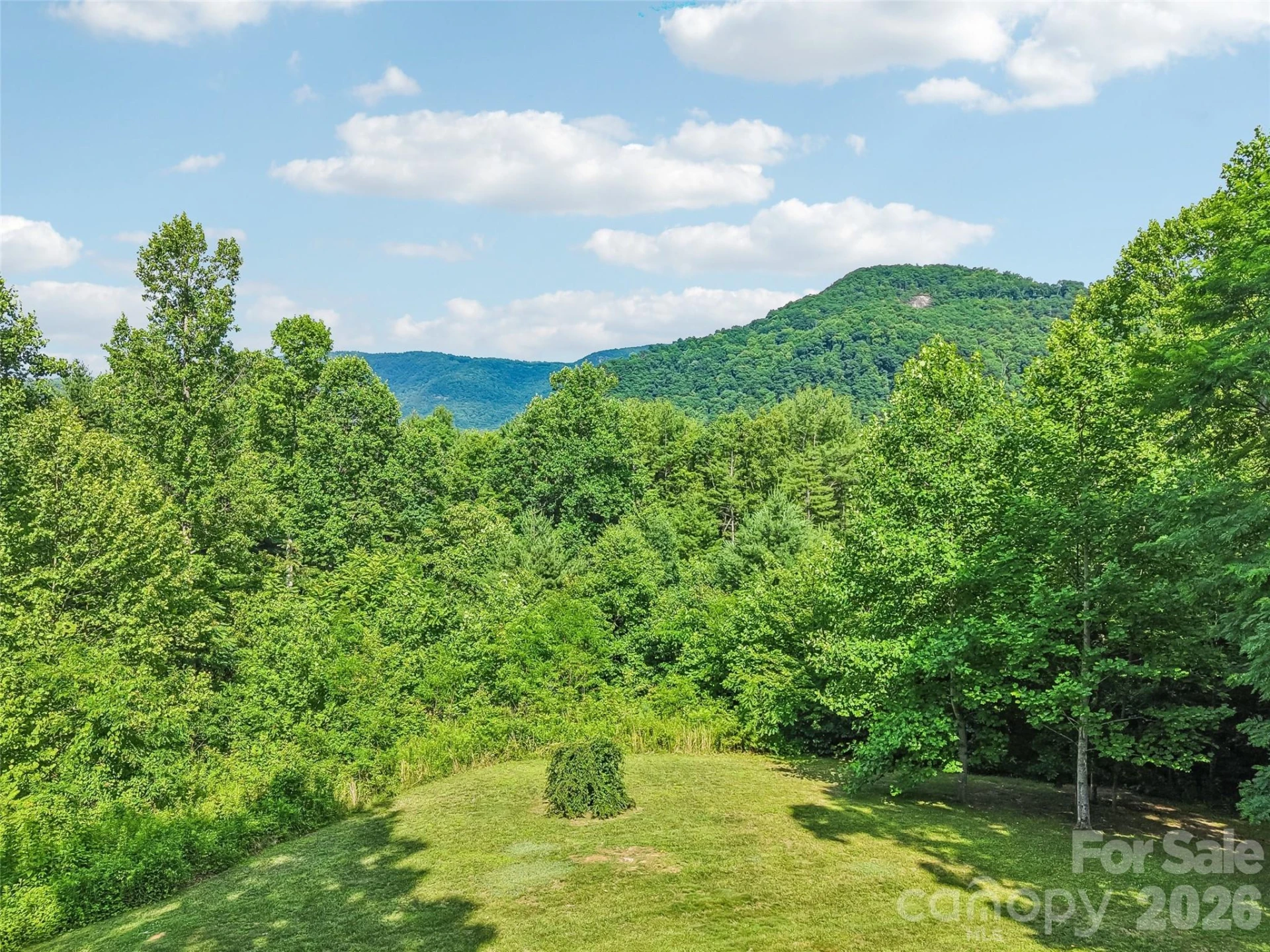 77 Willow Stone Way - Photo 47