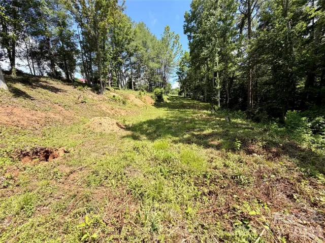 12 Willow Knoll Drive, Weaverville, NC, 28787