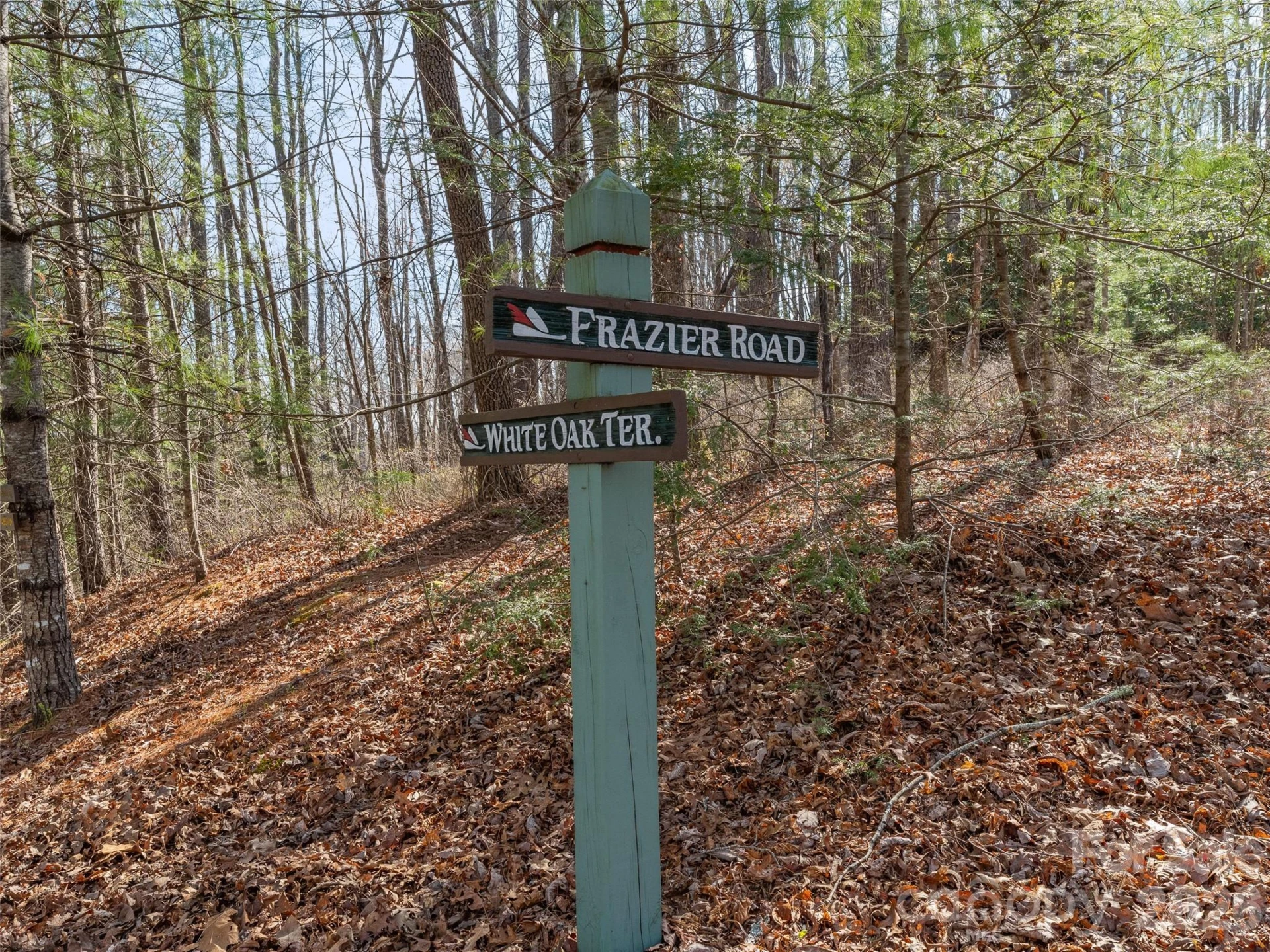 TBD White Oak Terrace #9 - Photo 2