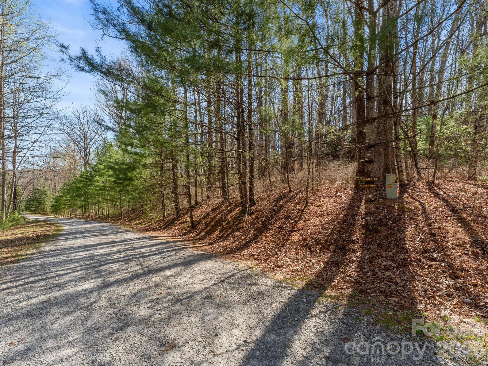 TBD White Oak Terrace #9 - Photo 3
