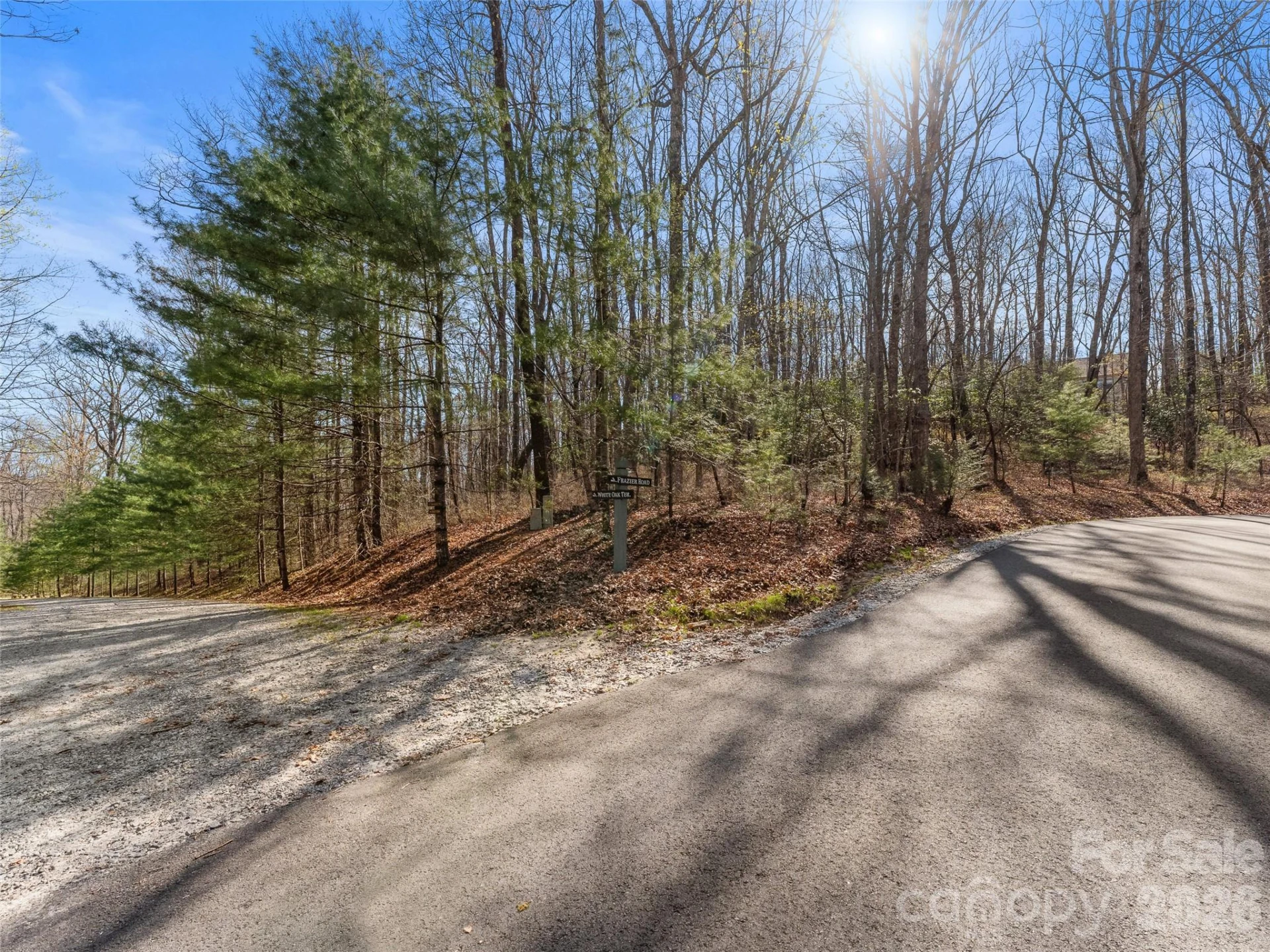 TBD White Oak Terrace #9 - Photo 4