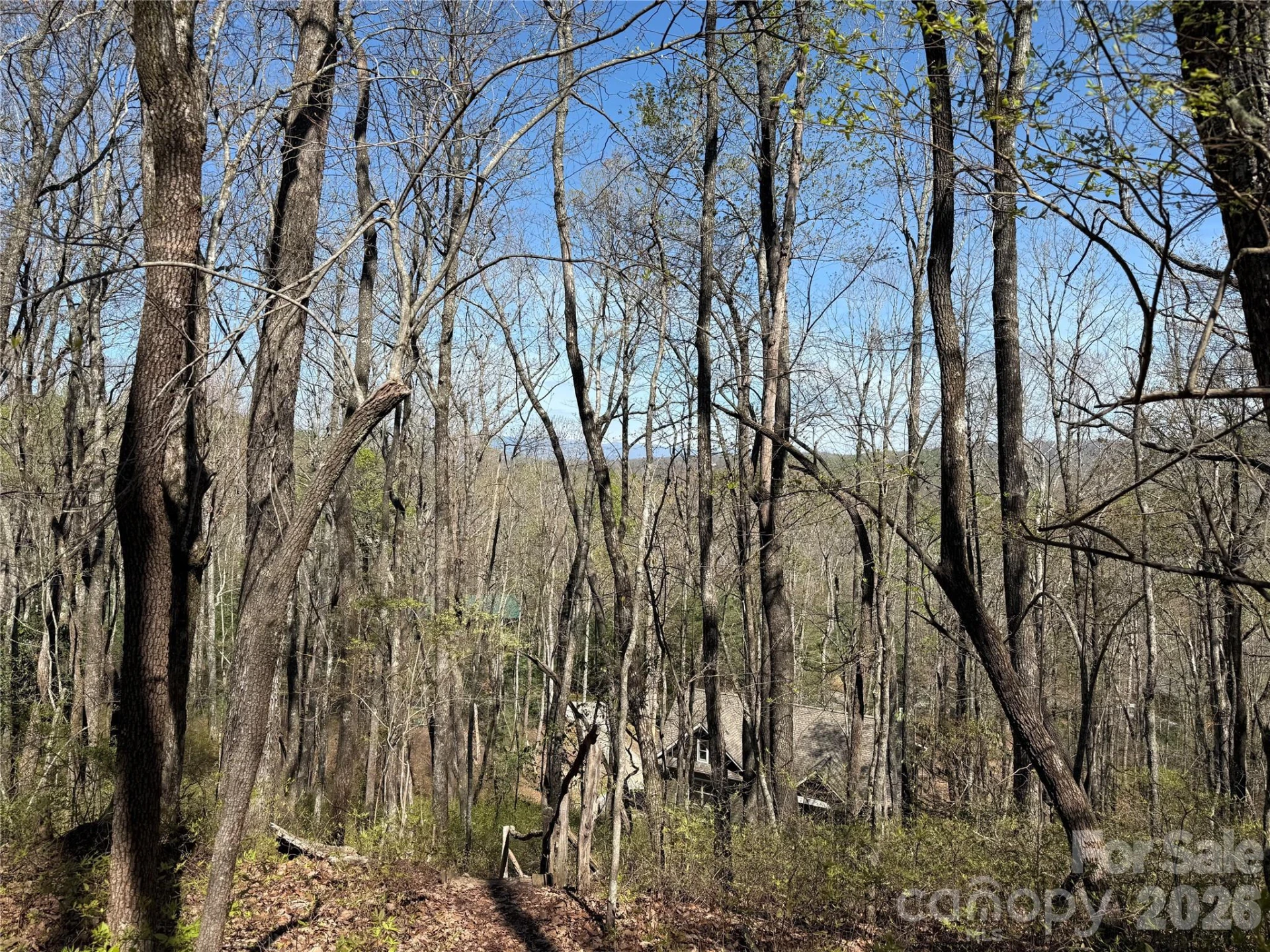 TBD White Oak Terrace #9 - Photo 5