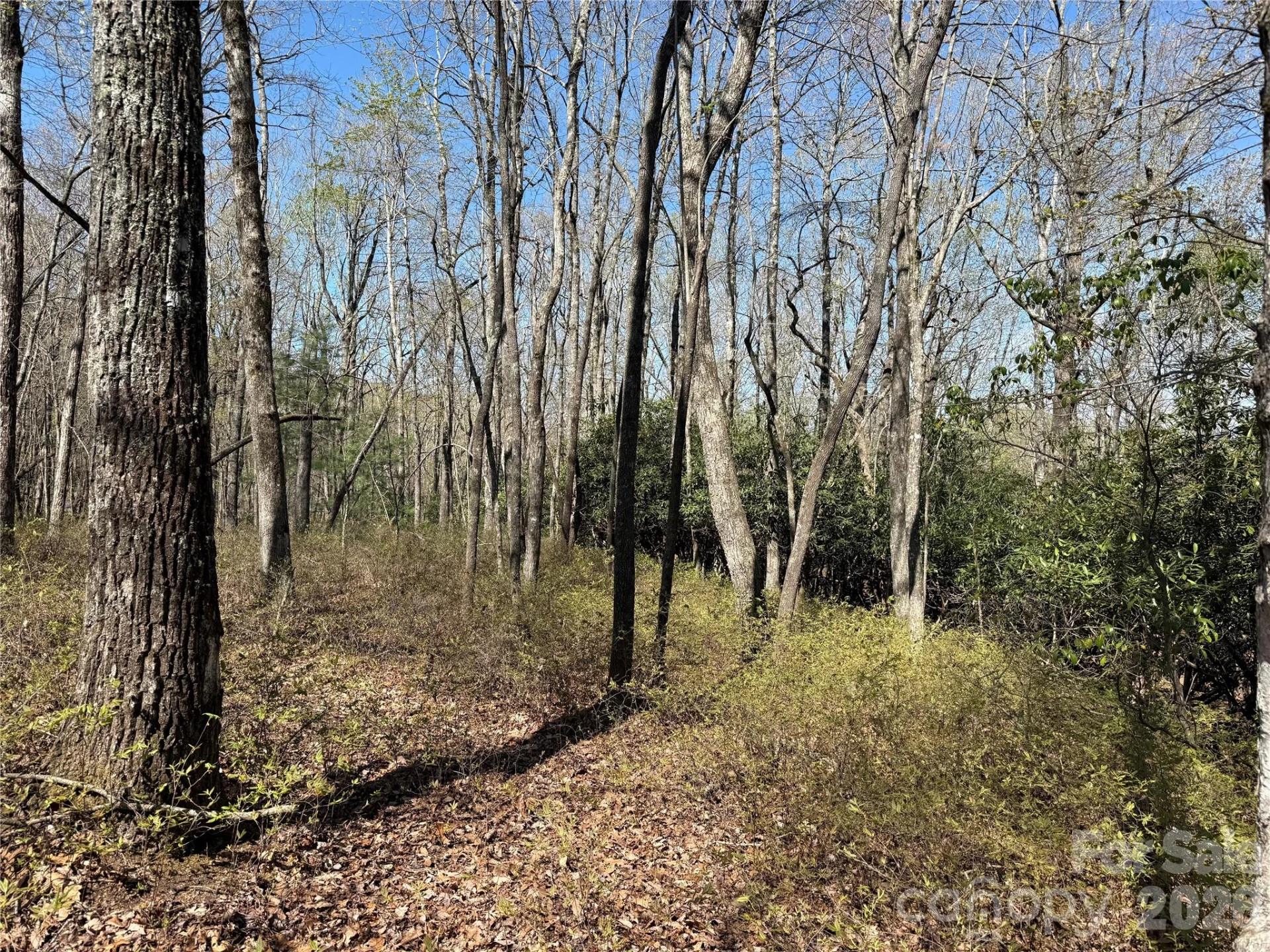 TBD White Oak Terrace #9 - Photo 6
