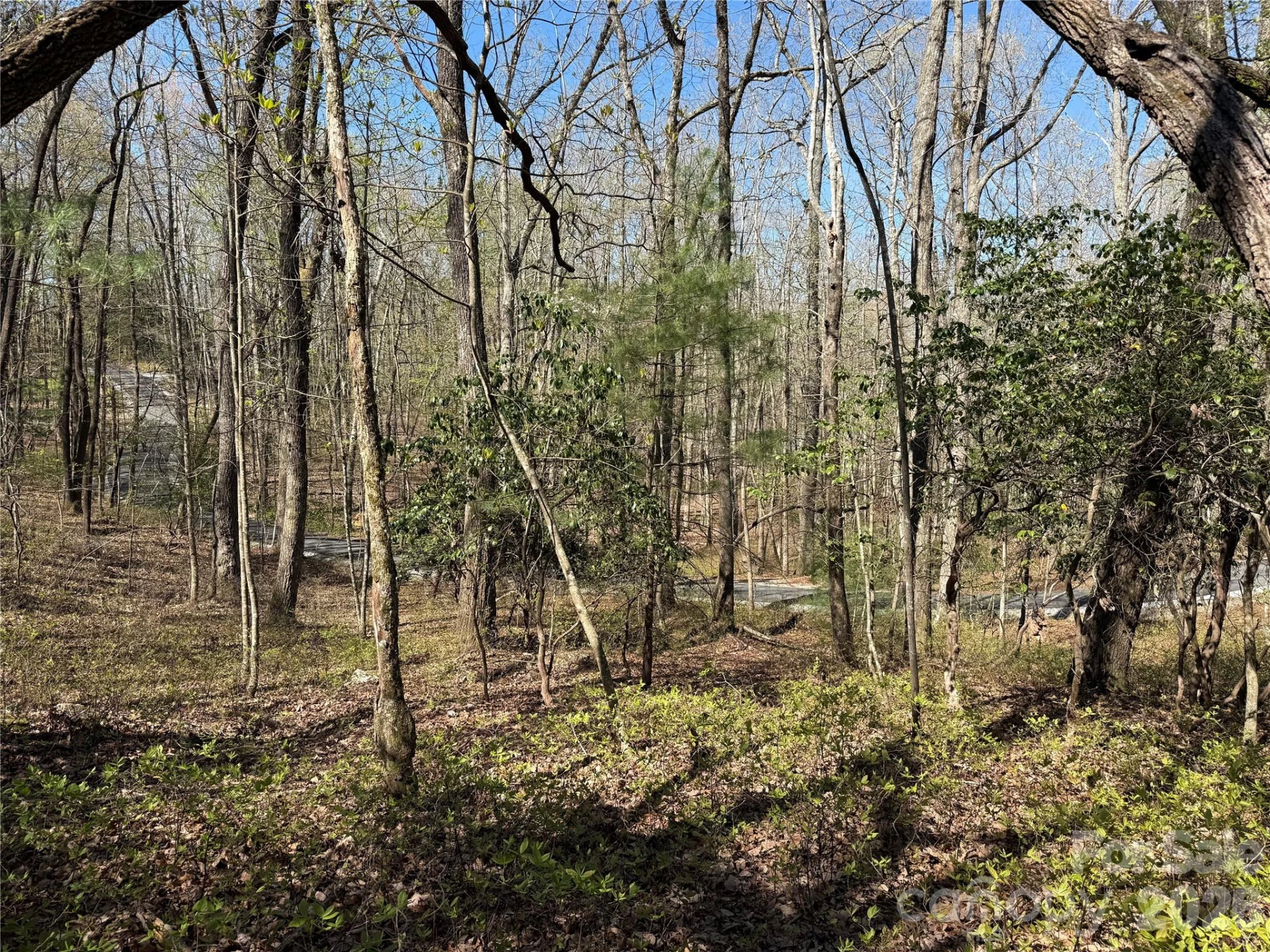 TBD White Oak Terrace #9 - Photo 7