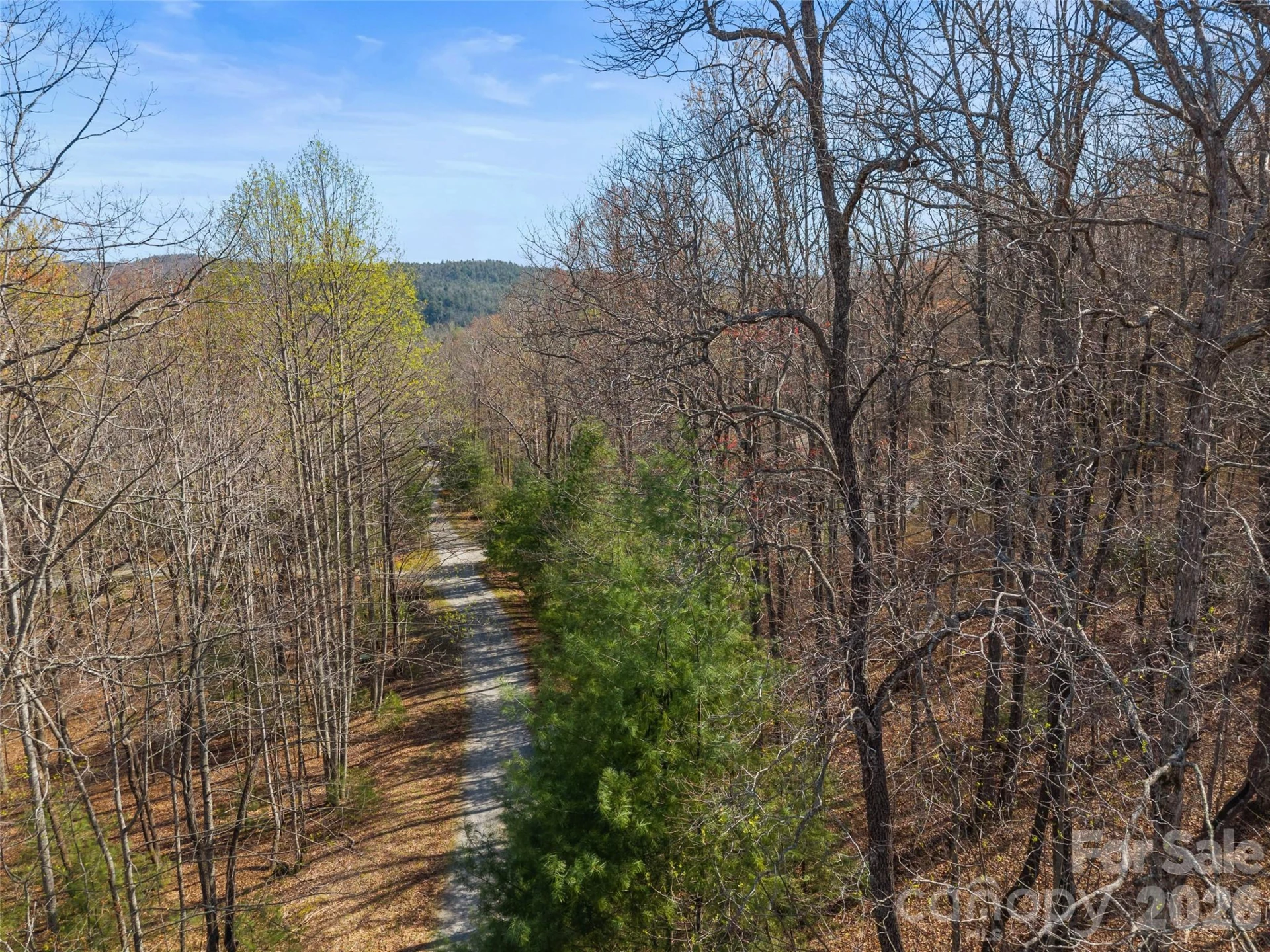 TBD White Oak Terrace #9 - Photo 8