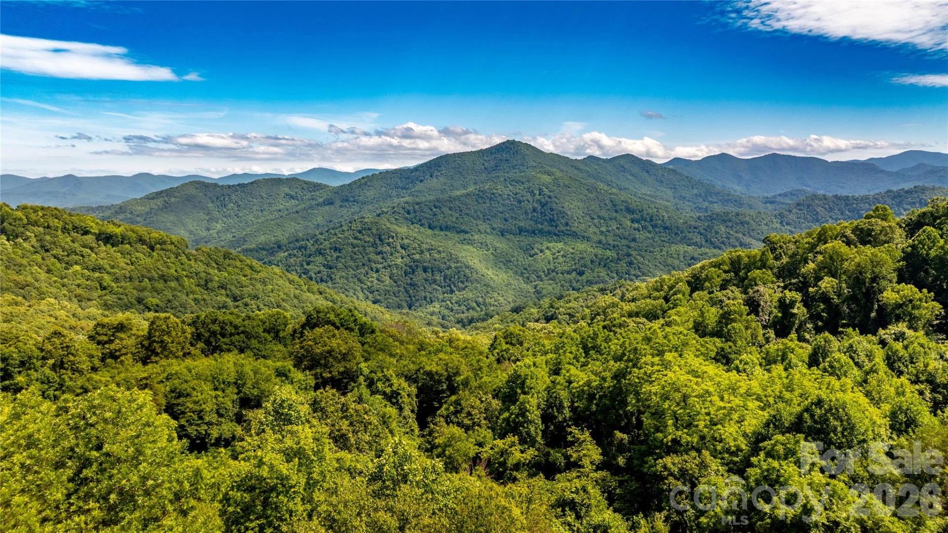 0000 High Rock View Drive #40 - Photo 2